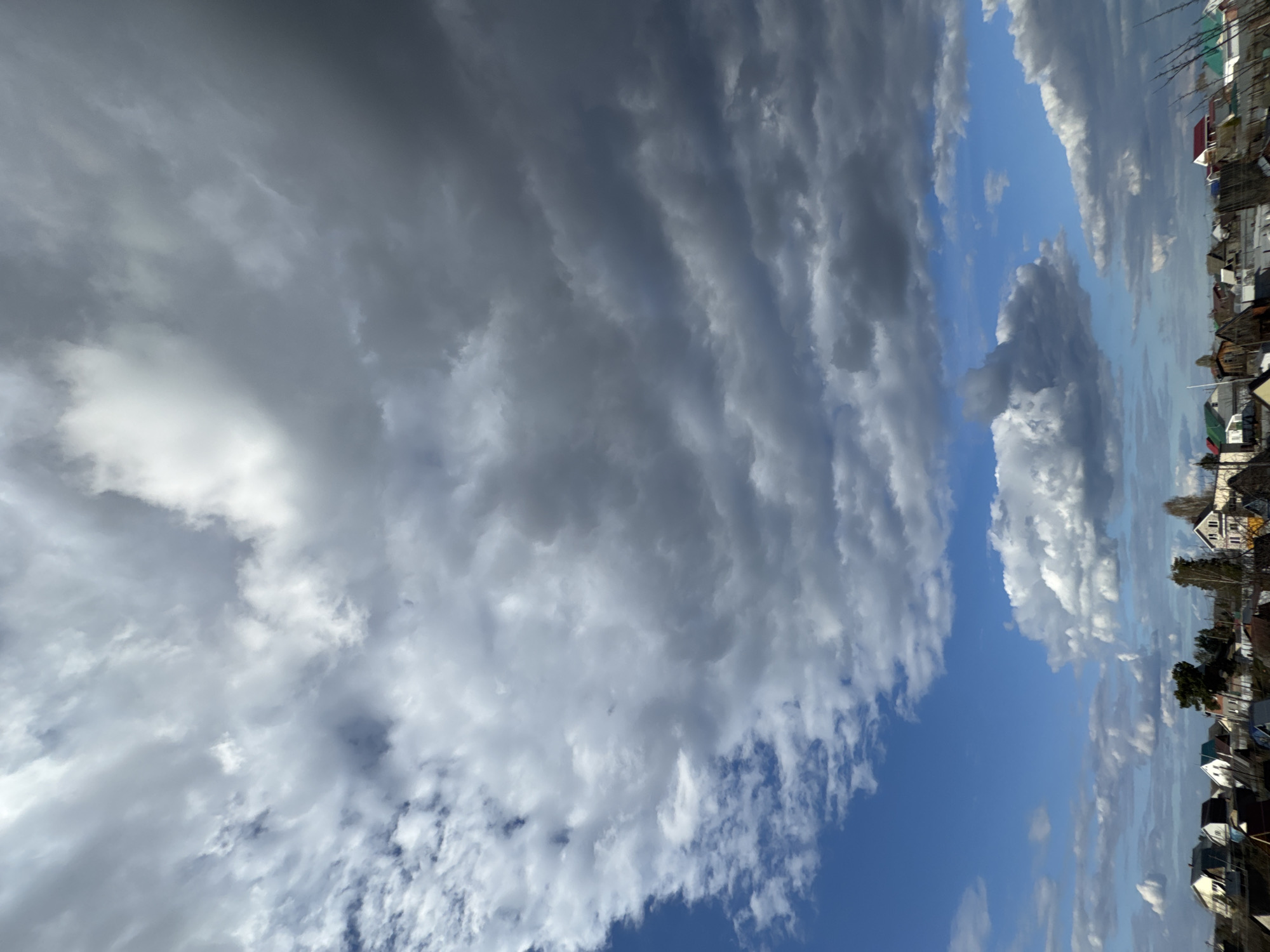 The image, correctly oriented, presents a vast and dynamic sky dominating the frame, with a distant town or village visible along the bottom horizon.
The sky is a dramatic composition of varying cloud types and atmospheric conditions. On the left and upper left, large formations of dark, dense grey clouds stretch across, suggesting heavy cloud cover. In contrast, the right side and lower portions of the sky reveal clear, vibrant blue patches interspersed with brighter, whiter cumulus clouds and thinner, wispy clouds. A prominent band of clear blue sky cuts through the middle-right, creating a strong visual contrast with the surrounding cloud masses. The interplay of light and shadow across the clouds emphasizes their texture and depth.
Along the distant horizon, a collection of buildings, possibly houses and other structures, forms the skyline of a town or village. These buildings feature various colors, including visible red, white, and green roofs, indicating a mix of architectural styles. Trees are scattered among the structures, and in the far distance on the right, slender vertical elements might suggest masts or other waterfront structures.
The scene is captured in bright daylight, likely midday or early afternoon, given the clear illumination. The weather appears changeable, displaying both heavy cloud coverage and patches of clear, sunny sky. The image offers a glimpse of the natural beauty of the sky over a human settlement, consistent with a location like Noviy, Russia. There is no visible text in the image.