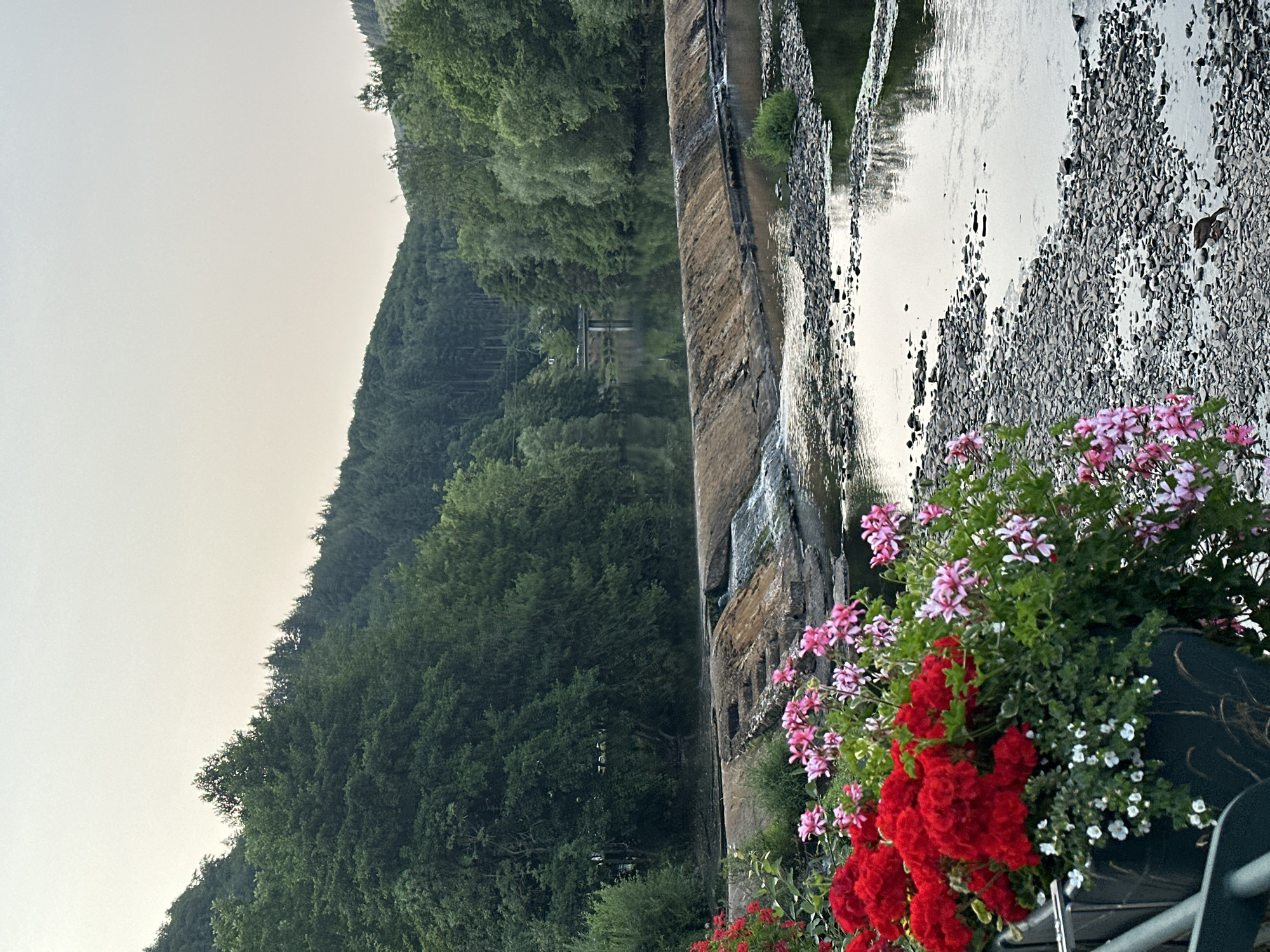 The image depicts a tranquil riverside scene in Vianden, Luxembourg. In the foreground, a dark planter overflows with vibrant red and pink geraniums, interspersed with small white flowers. Behind the planter, a dark metal railing is visible. The middle ground features a low, concrete dam constructed across a gently flowing river. The dam has a rough, textured surface, with water cascading over its edge in a few sections. The riverbanks are lined with smooth, grey stones and some sparse green vegetation.
The background reveals a densely forested hillside that rises steeply from the river. The trees are a lush green, suggesting a temperate climate. The sky above is a pale, hazy grey, indicating either early morning or late evening. In the distance, across the river, a small bridge with an arch can be seen, spanning the water between the wooded banks. A lone bird stands on the rocky riverbed in the lower right quadrant of the image.