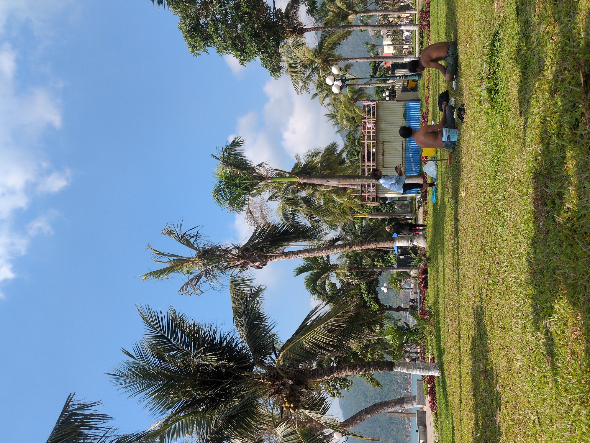The image depicts an outdoor scene in South Quy Nhon Ward, Vietnam, under a clear blue sky with scattered white clouds. The foreground features a green grass lawn, partially sunlit. In the mid-ground, three individuals are observed. Two shirtless males are seated on the grass with their backs partially to the camera; one wears dark trousers, the other olive green shorts, with items such as a white bucket and dark bags placed on the grass near them. A third individual, wearing a light blue long-sleeved shirt and dark pants, stands slightly to the left, holding a tray or container, facing towards the seated males. Directly behind these individuals, a multi-story structure composed of corrugated metal with a light-colored base and a pink-railed upper platform is visible, partially flanked by a blue tarp. The environment is heavily vegetated with numerous tall palm trees, several bearing green coconuts, interspersed with other tropical foliage. Beyond the vegetation and a paved walkway on the far left, a body of water, likely a bay, is visible, containing a small vessel. Distant green mountains form the horizon on the left. Decorative streetlights with multiple white globes are positioned throughout the tree line. Additional indistinct figures are visible in the background, walking or standing.