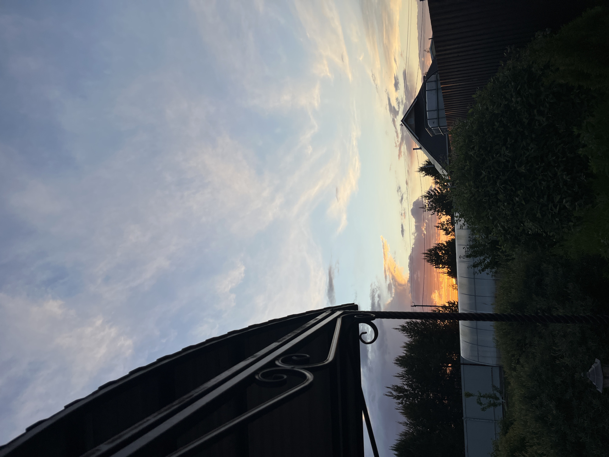 The image captures a sunset sky with cirrus clouds tinged with hues of yellow and orange. In the foreground, the silhouette of a dark, ornate metal structure is visible. Behind the metal structure, a row of tall bushes and trees lines the horizon, obscuring the view of any immediate buildings. In the background, a white arched structure is visible. The lighting suggests it is dusk. It appears to be an outdoor setting within the city of Chaikovsky, Russia.