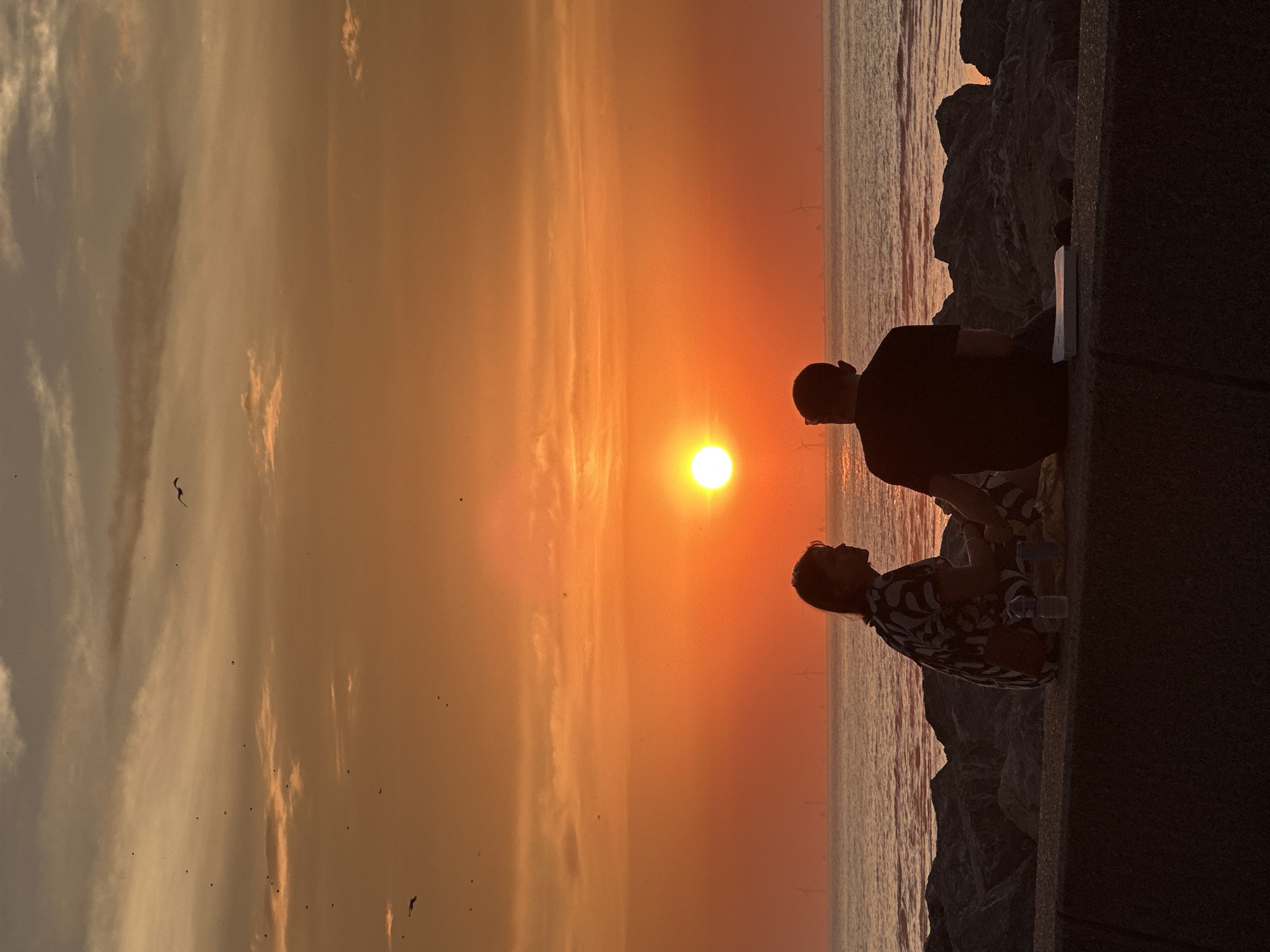 A silhouetted couple sits on a stone embankment overlooking the sea at sunset in Le Tréport, France. The sky is a vibrant orange and yellow, with thin clouds and numerous small birds flying. The sun, a bright orb, is low on the horizon, casting a warm glow over the water. Offshore, wind turbines are visible. The couple is facing away from the camera, looking out at the sea. The woman wears a patterned dress, and the man wears a dark t-shirt. Several objects, including a water bottle, are placed on the embankment between them. The foreground shows a dark concrete wall.