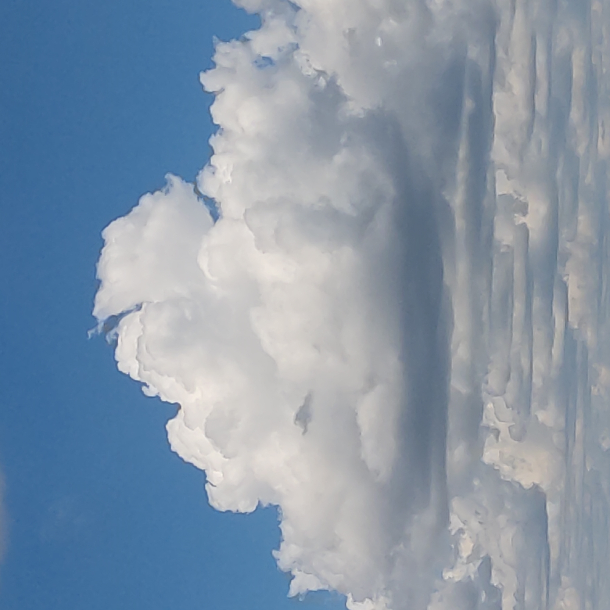 A photograph captures a view of a bright blue sky filled with fluffy white and gray cumulus clouds. The clouds are varied in size and density, with the largest and most illuminated cloud dominating the center of the frame. Some of the clouds show darker gray undersides, suggesting they are thicker or catching less direct sunlight. The overall scene depicts a partly cloudy day, with no discernible man-made structures or human presence. The location is unknown.