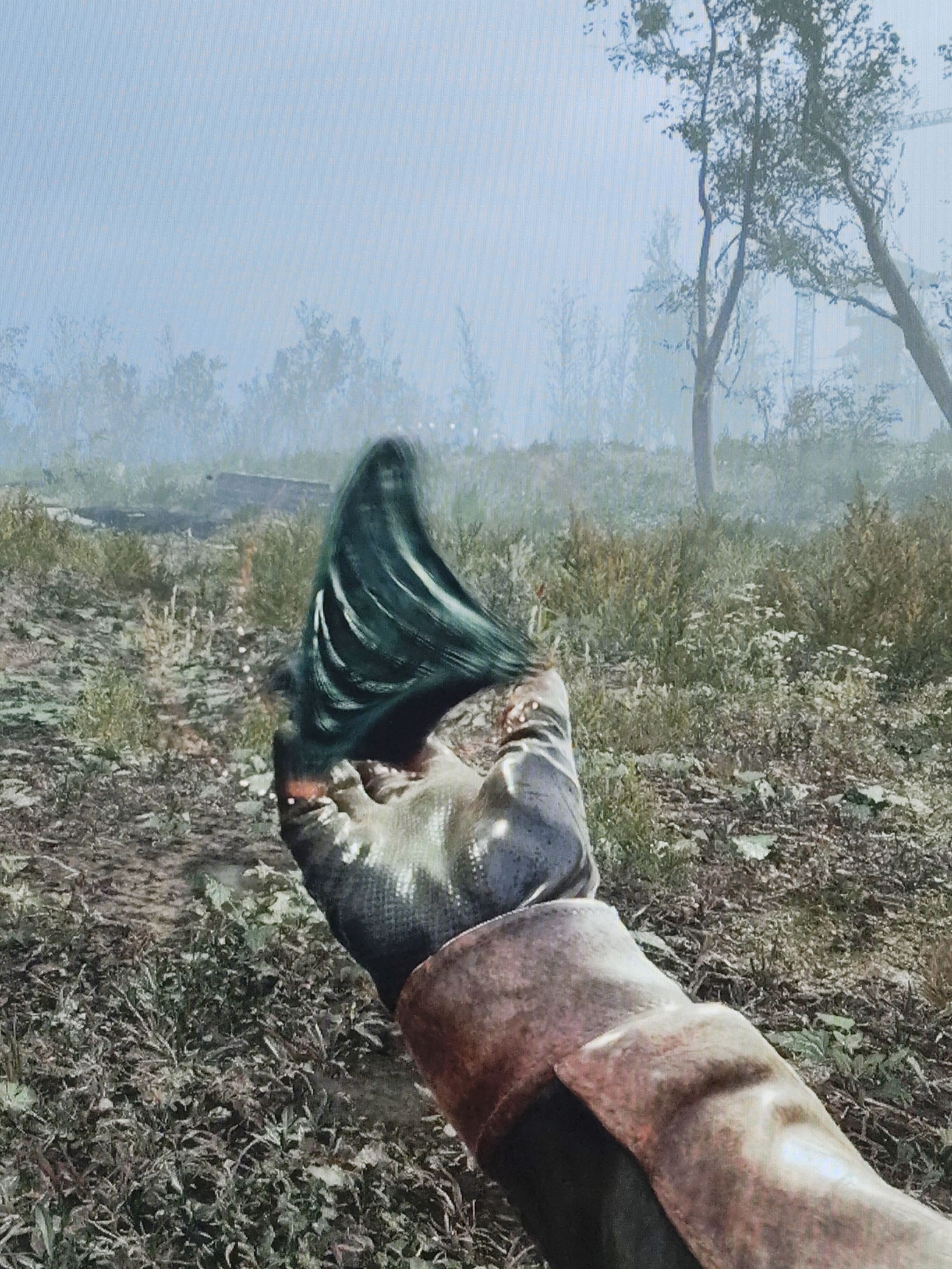 The image displays a first-person perspective screenshot from a video game, featuring a gloved hand holding a distinct object. The hand, covered by a dark green/gray glove and a rugged brown/tan forearm sleeve, is positioned in the lower right of the frame. It grips a dark, possibly green or blue, object characterized by prominent ridges or folds, giving it a somewhat organic or unusual appearance.
The scene is an outdoor, overgrown area shrouded in heavy mist or fog, contributing to a muted color palette and limited visibility. The ground is covered with sparse green and dry vegetation, along with patches of dirt and debris. In the mid-ground and background, numerous bare or sparsely leaved trees stand against the pale, hazy sky. Faint, indistinct structures, possibly industrial or architectural, can be vaguely discerned through the fog in the distance, behind the trees on the right.
The weather appears foggy or misty, diffusing the light and making the time of day ambiguous. The overall atmosphere is desolate and mysterious. There is no visible text in the image.