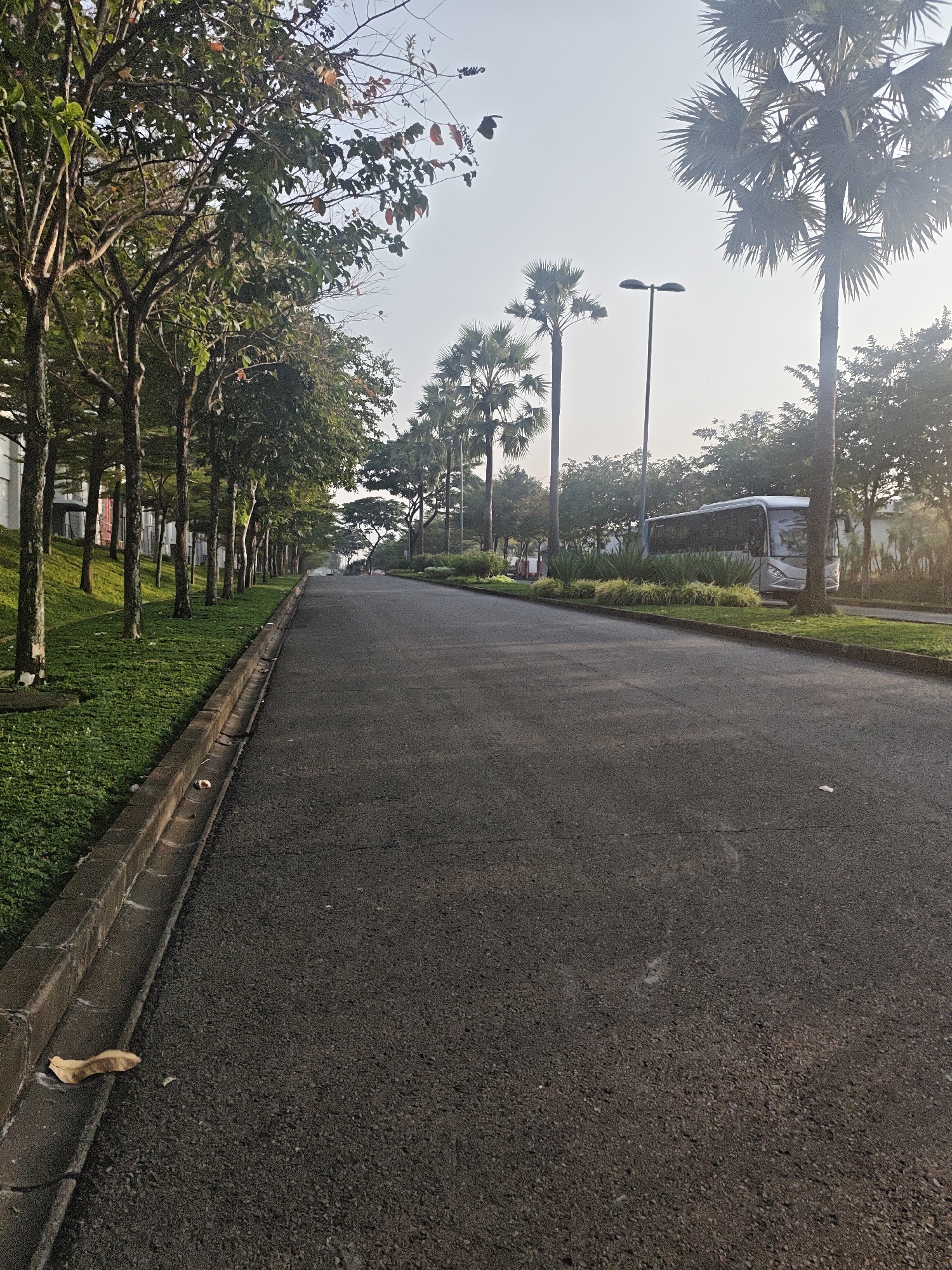 The image depicts an empty asphalt road lined with lush green grass and trees on the left side, and palm trees on the right. A white bus is parked on the right side of the road, partially obscured by a tree. In the distance, several streetlights are visible, along with more trees and buildings. The sky is clear and bright, suggesting it is daytime. The scene appears to be a quiet, well-maintained road within a city, likely in a tropical or subtropical region. The presence of palm trees and the style of the bus suggest a location in a place like Indonesia.