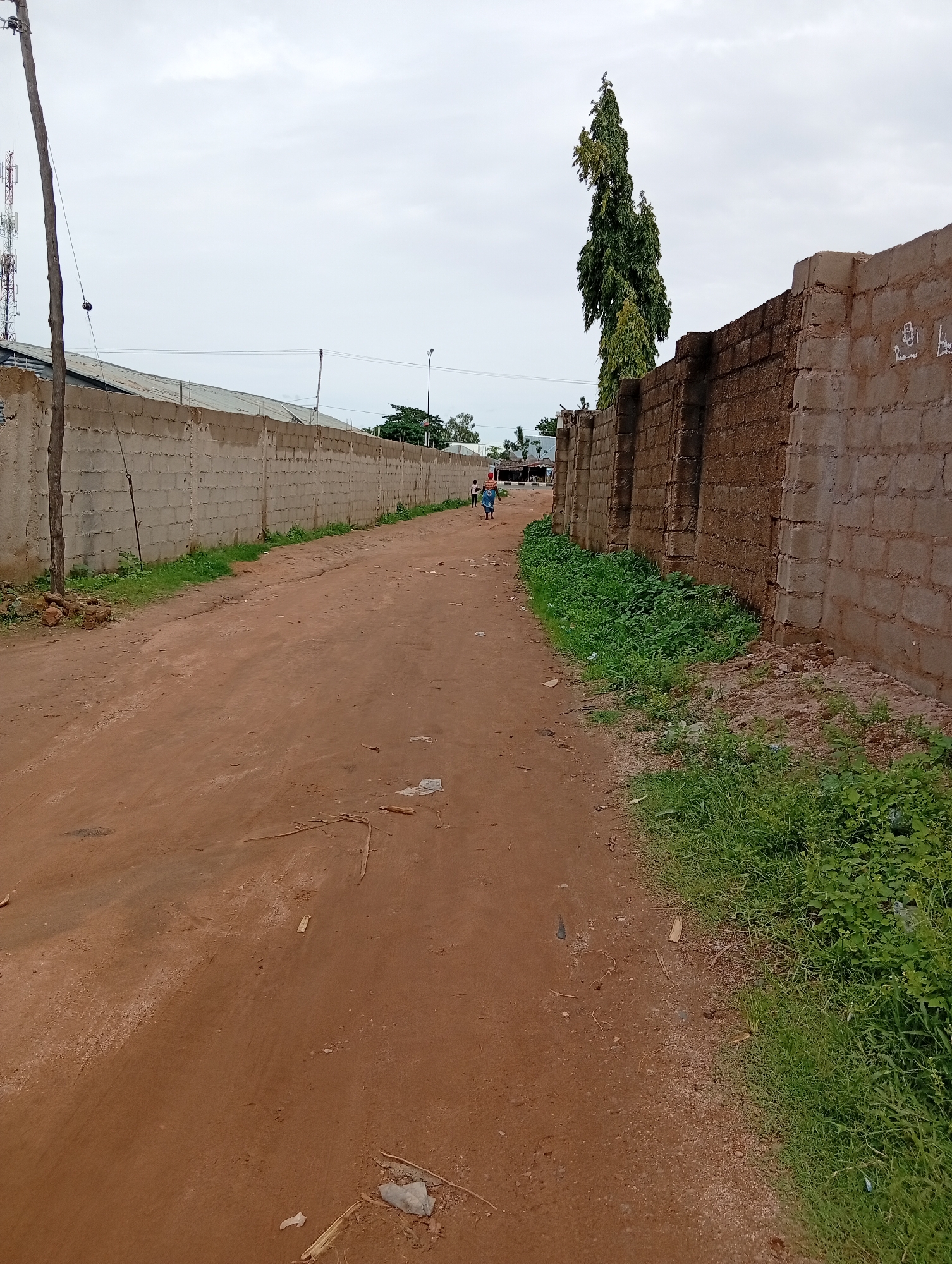 A dirt road stretches into the distance, flanked by high walls on either side. On the left, a concrete block wall runs along the road, with a wooden pole and wires visible in the foreground. Beyond this wall, a corrugated metal roof and a tall antenna tower can be seen. On the right, a darker brick wall, also high, stands prominently. A tall, slender tree with dense green foliage rises above the right wall, silhouetted against an overcast sky.
A few people are visible walking down the dirt road in the distance, heading away from the camera. One person appears to be wearing blue clothing. The road itself is dusty and uneven, with scattered debris, including some white paper and dry plant matter, along its surface. Patches of green grass and weeds grow along the base of both walls, encroaching onto the road in places.
The time of day appears to be daytime, with the overcast sky suggesting potentially cloudy or nearing rain conditions. The scene depicts an outdoor environment, likely a pathway or road within a settlement or compound, possibly in a rural or semi-urban area of Jalingo, Nigeria, given the location context. The overall impression is one of a practical, somewhat utilitarian setting. There is no visible text in the image.