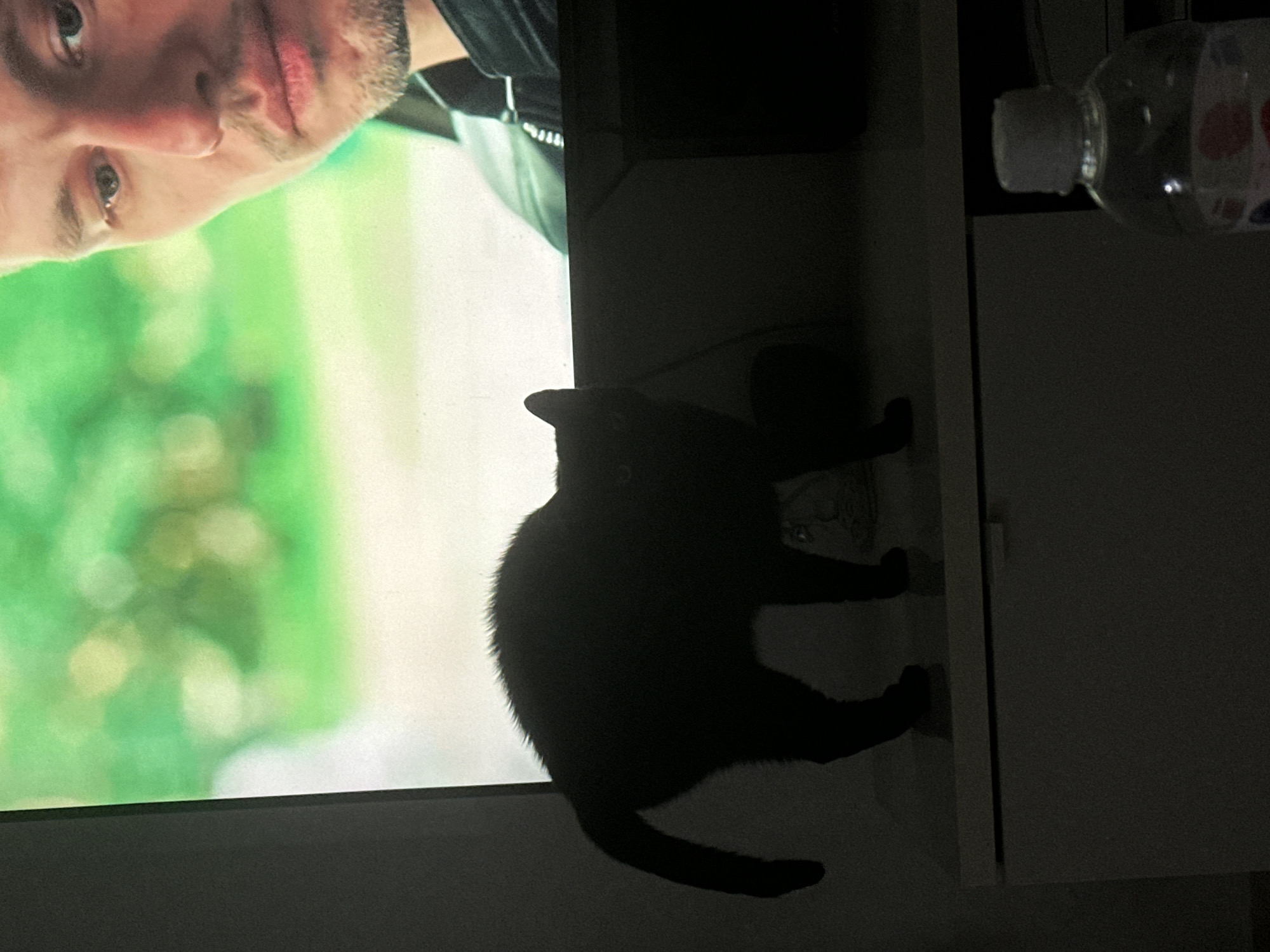 A black cat stands silhouetted on top of a white cabinet, its back arched and fur raised. The cat is positioned in front of a television screen displaying a close-up of a man's face, his gaze directed downwards and to the side, with blurred green foliage in the background. To the right of the cabinet, a plastic bottle with a white cap is visible in the foreground, partially illuminated. The overall scene is dimly lit, with shadows obscuring most of the environment. The location is not specified as being in the city of Haifa, Israel.
