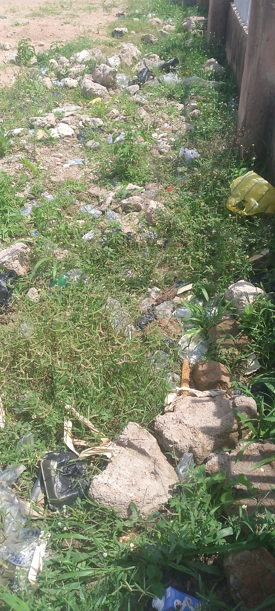 The image depicts a messy outdoor scene with abundant debris scattered amongst rocks and overgrown green vegetation. The ground is uneven, covered with dirt, stones of various sizes, and numerous pieces of trash. Among the litter, there are visible plastic bottles, crumpled plastic bags, and other unidentifiable waste items. The vegetation appears wild and unkempt, with green grass and other plants growing haphazardly around the rocks and trash.
In the upper right portion of the image, a tan-colored wall or structure is partially visible, suggesting an urban or semi-urban setting. To the far right, a bright yellow plastic bag is prominent, contrasting with the otherwise muted colors of the scene. The lighting suggests it is daytime, likely sunny, given the clear shadows and bright illumination of the environment. There are no people visible in the image, and the overall impression is one of neglect and unmanaged waste. The location context is Jalingo, Nigeria. No legible text is visible in the image.