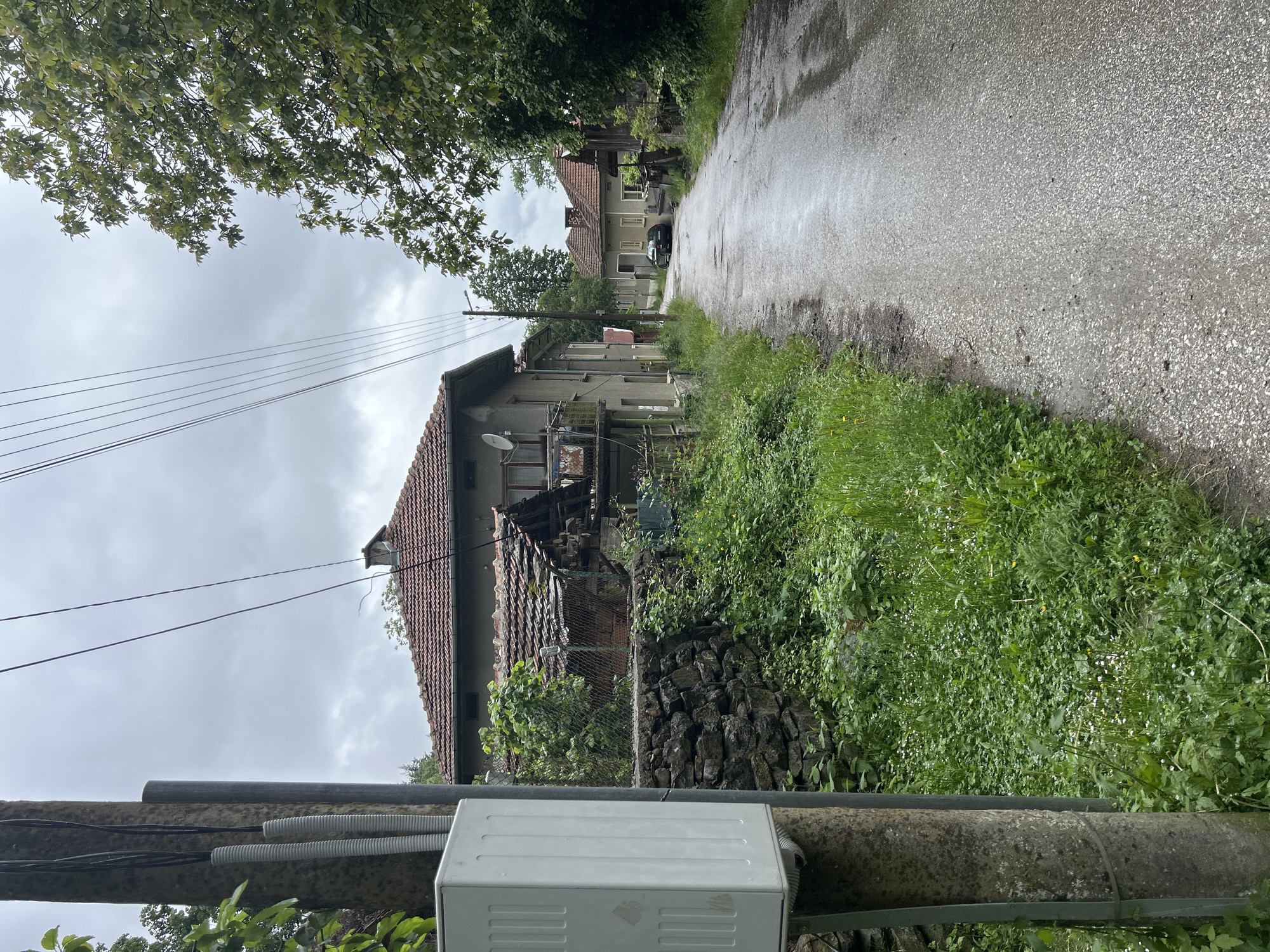 The photograph captures a narrow, possibly rural, street lined with modest buildings in what appears to be a village or small town. The street, wet from recent rain, reflects the overcast sky, suggesting a damp or recently rainy weather. The buildings are traditional in style, featuring tiled roofs and aging facades, with one building in particular showing signs of disrepair.
Green vegetation overgrows the roadside, adding to the somewhat untamed, rural feel. A utility pole in the foreground is noticeable, with a gray, weathered appearance and a utility box attached. Power lines stretch across the sky above the street. In the distance, a car is visible parked along the road, suggesting the presence of inhabitants or visitors. The image evokes a sense of quiet, perhaps a slightly neglected, part of an area.
