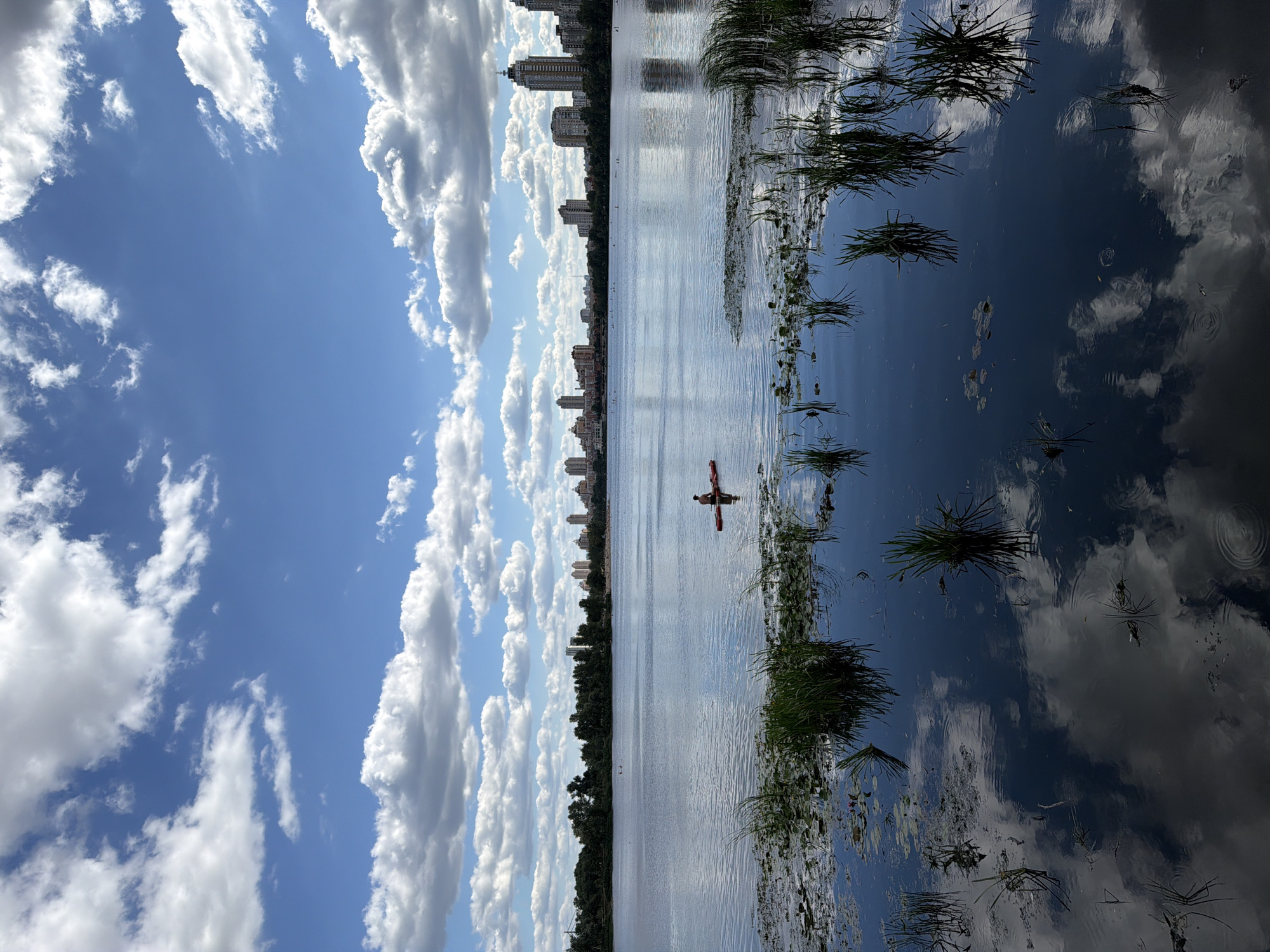 A wide shot captures a calm lake with a city skyline in the background, likely in Vyshhorod, Ukraine. In the foreground, reeds and lily pads dot the water's surface, their reflections shimmering alongside those of the clouds. A lone individual is seated in a red kayak on the lake, appearing to be paddling. The sky is a vibrant blue, populated by scattered white, fluffy clouds. The city skyline consists of numerous buildings, including high-rises, and a line of trees separates the water from the urban landscape. The overall scene suggests a peaceful day with recreational activity on the water.