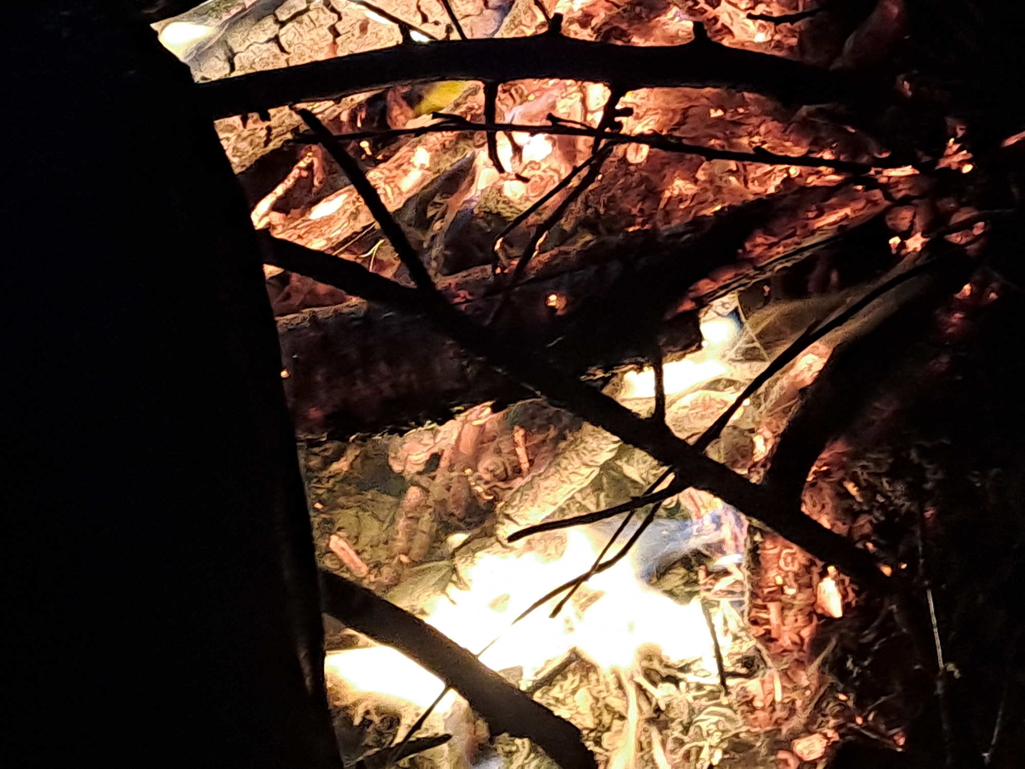 The image presents a close-up, vivid depiction of a fire, likely a campfire, burning intensely in the dark. The scene is dominated by bright, flickering flames and glowing embers in shades of orange, red, and yellow. Various pieces of wood and branches are visible within the fire, some actively burning and others charred, contributing to the fuel.
Dark, silhouetted branches and larger woody elements crisscross the foreground and midground, partially obscuring and framing the vibrant flames. These branches appear to be either part of the burning structure or surrounding vegetation, creating a sense of depth and enclosure around the fiery core. The stark contrast between the bright fire and the deep black background strongly indicates that the photograph was taken at night.
No people, identifiable structures, or specific weather conditions are discernible within the image. The general impression is one of warmth and light in an otherwise dark, natural setting. Based on the provided context, the location of this fire is Polianki, Russia. There is no visible text in the media file.