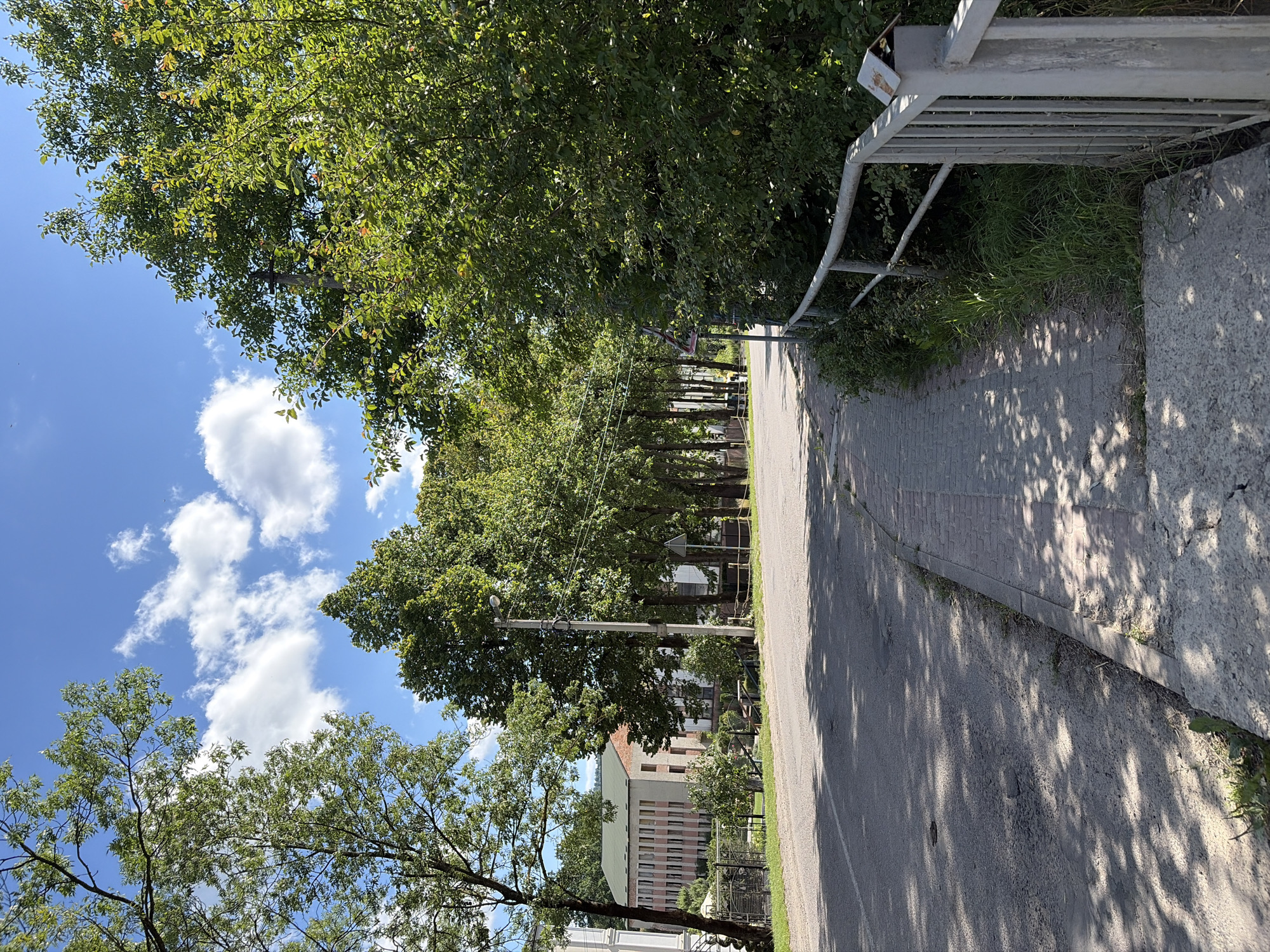This is a vertical, eye-level, outdoor shot of a tree-lined road with a sidewalk. The sun is shining, creating dappled shadows on the road and sidewalk. Green trees line the left side of the road, and on the right, a sidewalk is bordered by a light-colored metal fence and a concrete curb. Beyond the fence, grass and more trees are visible. In the distance, a multi-story building with a light green roof and rows of windows can be seen. The sky is blue with scattered white clouds. The image appears to have been taken during the daytime, likely on a sunny day. No people are visible in the image.