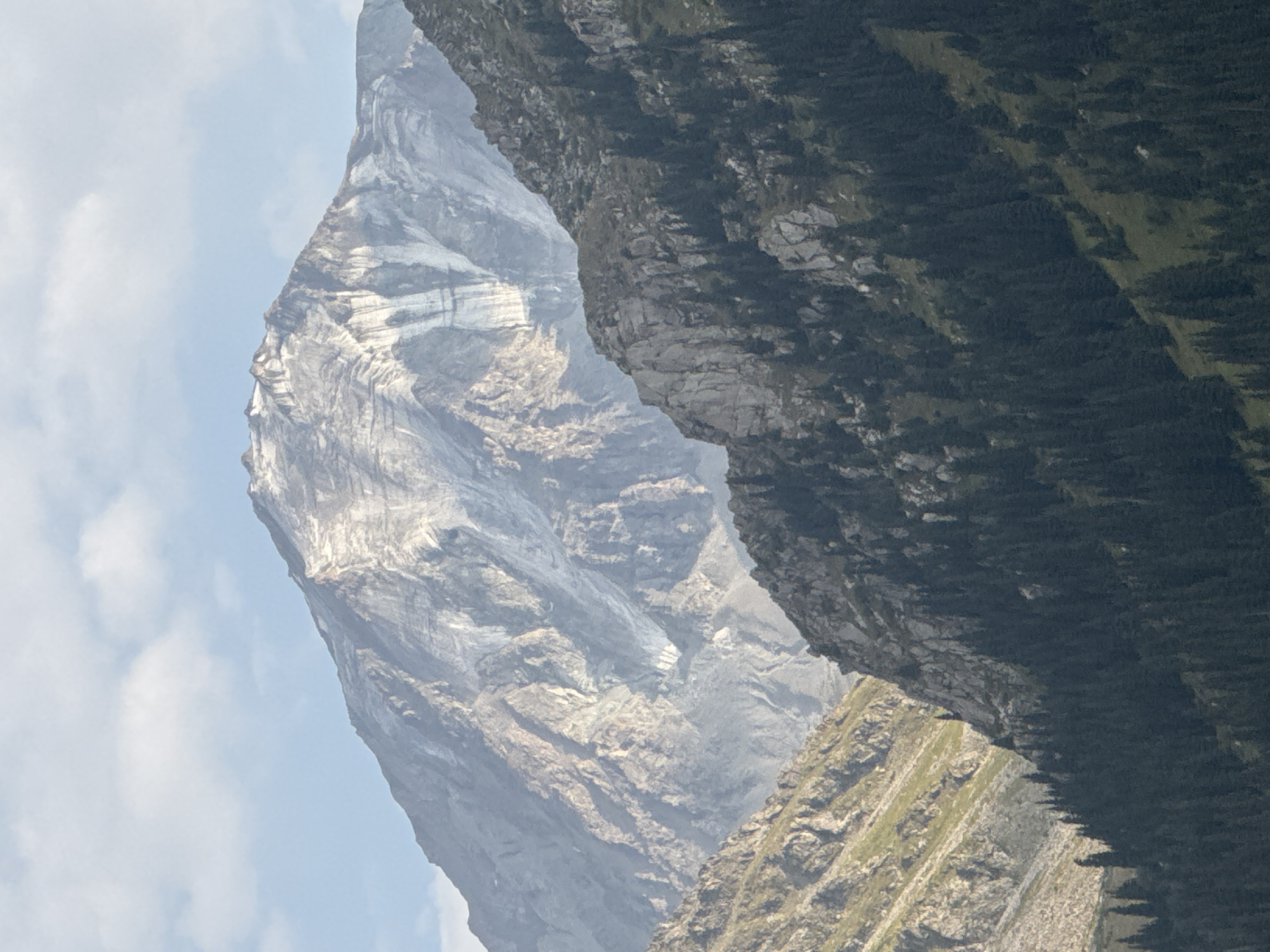 The image shows a view of the Trans-Ili Alatau mountain range near Almaty, Kazakhstan. The foreground is dominated by a dense forest of dark green coniferous trees, with the rocky slopes of the mountains rising behind them. In the distance, a large, majestic mountain peak is visible, partially covered in snow and ice, with distinct striations of rock and snow running down its face. The sky is a pale blue with scattered, wispy clouds. The overall impression is one of a vast and rugged natural landscape. This view is characteristic of the mountainous terrain surrounding Almaty, popular for hiking and mountaineering.
