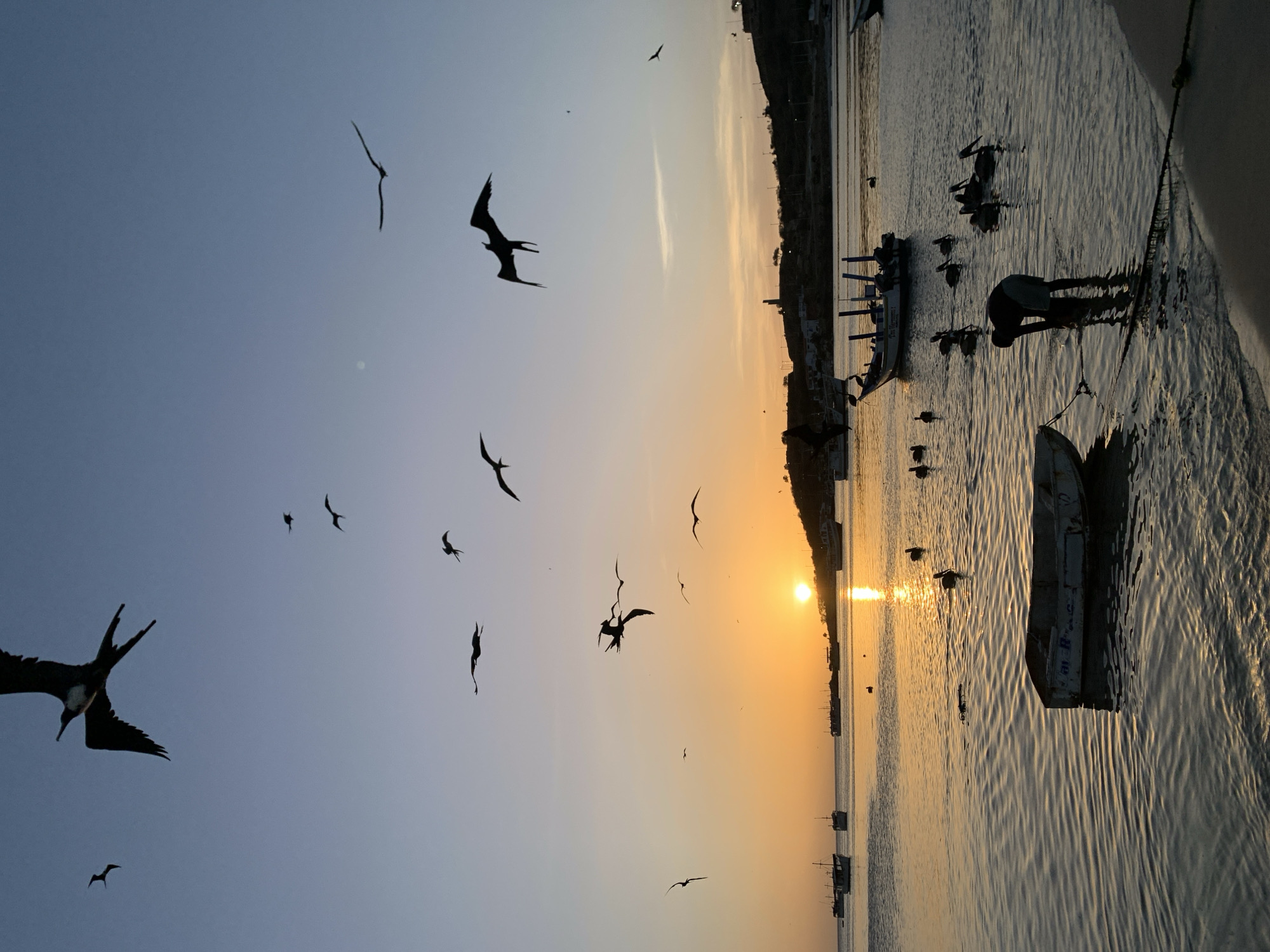The image depicts a coastal scene at sunset in Juan Griego, Venezuela. The sky is a gradient of pale blue to soft orange, with the sun just above the horizon, casting a golden reflection on the water. Numerous birds, silhouetted against the sky, are in flight. In the foreground, the calm sea is dotted with several pelicans. A man is partially submerged in the shallow water, appearing to be working on something near a small boat. In the middle ground, various fishing boats are anchored. The background shows a hilly shoreline with some structures, including what appears to be a lighthouse. The overall atmosphere is serene and tranquil, capturing the end of the day.