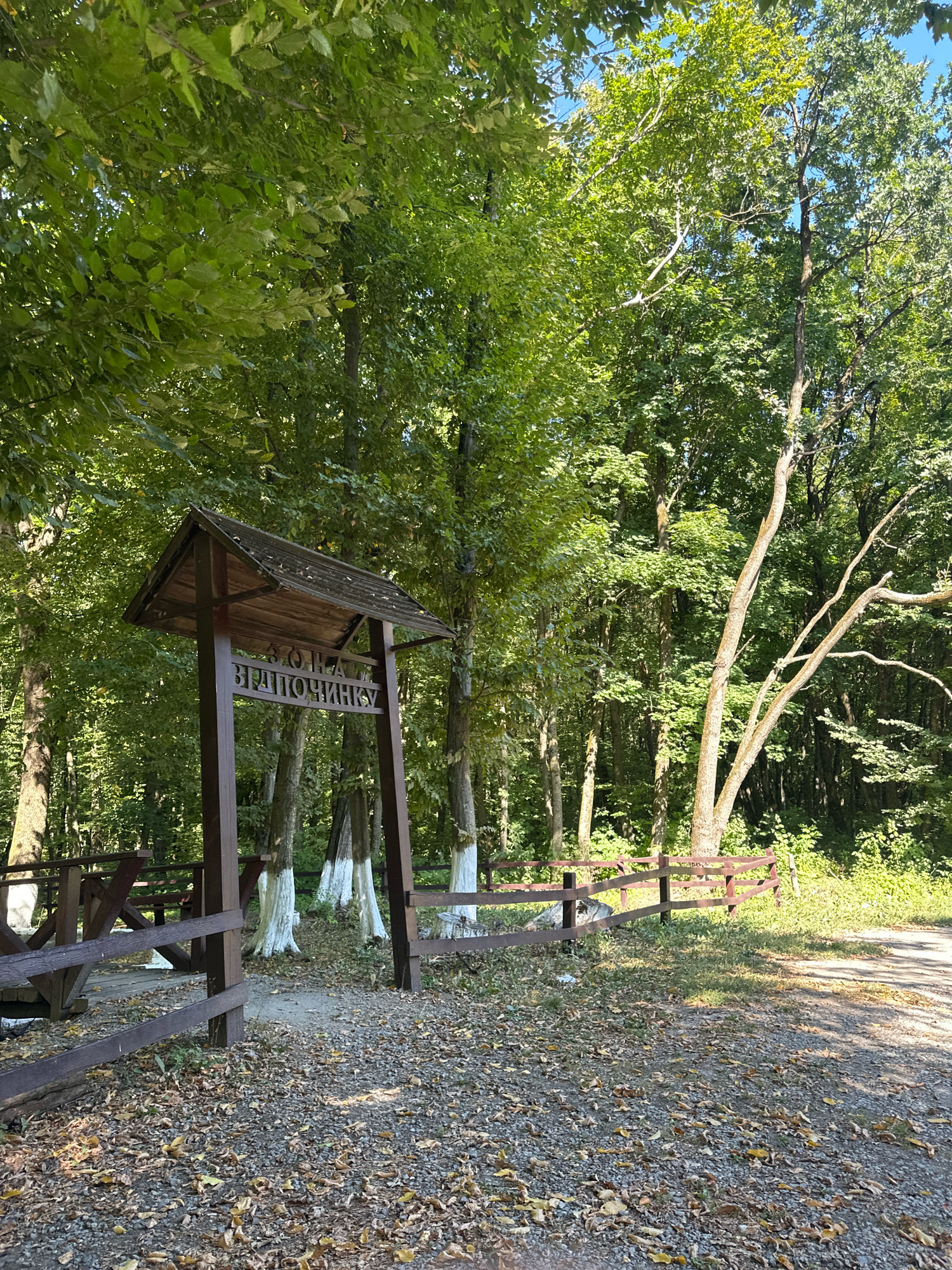 A wooden signpost stands in a forest clearing near Shatava, Ukraine. The sign, made of dark wood, has a peaked roof and two vertical posts. Carved into the posts are the Cyrillic words "ЗОНА ВІДПОЧИНКУ," which translates to "RECREATION AREA." To the left of the sign, a wooden picnic table and benches are visible, suggesting a designated resting spot. A wooden fence runs through the clearing, separating the area and curving around the sign. The ground is covered with gravel and fallen autumn leaves. The background is dominated by a dense forest with tall trees, some with white-painted lower trunks. Sunlight filters through the leaves, dappling the ground and creating shadows. The scene appears to be a natural park or a rural recreational area.