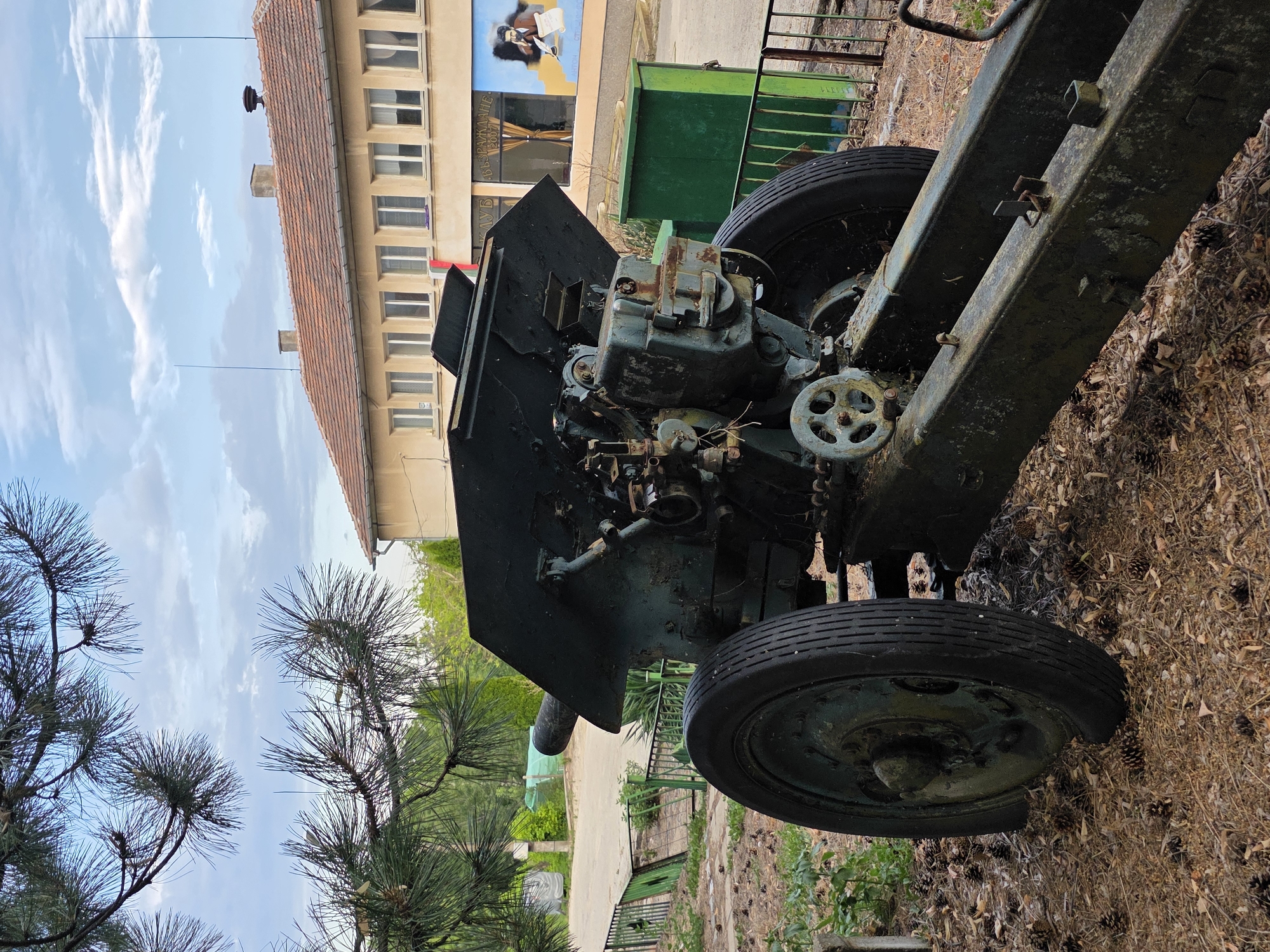 The image displays an old, dark green artillery piece positioned outdoors. The cannon is mounted on a wheeled carriage, with one large wheel prominently visible on the left side. The metal of the cannon appears weathered and somewhat rusted. Behind the artillery piece, a building with a red-tiled roof and multiple windows is visible. A mural depicting a person reading is painted on the side of this building. Pine branches with needles hang in the foreground, partially obscuring the sky, which is cloudy. The ground around the cannon is covered with dry leaves, pinecones, and some grass. A green metal fence runs along the right side of the scene, and a green trash bin is also present. The overall setting suggests an outdoor display or monument, possibly in a public space in the village of Varbovchets, Bulgaria, given its historical context. No people are visible in the image.
