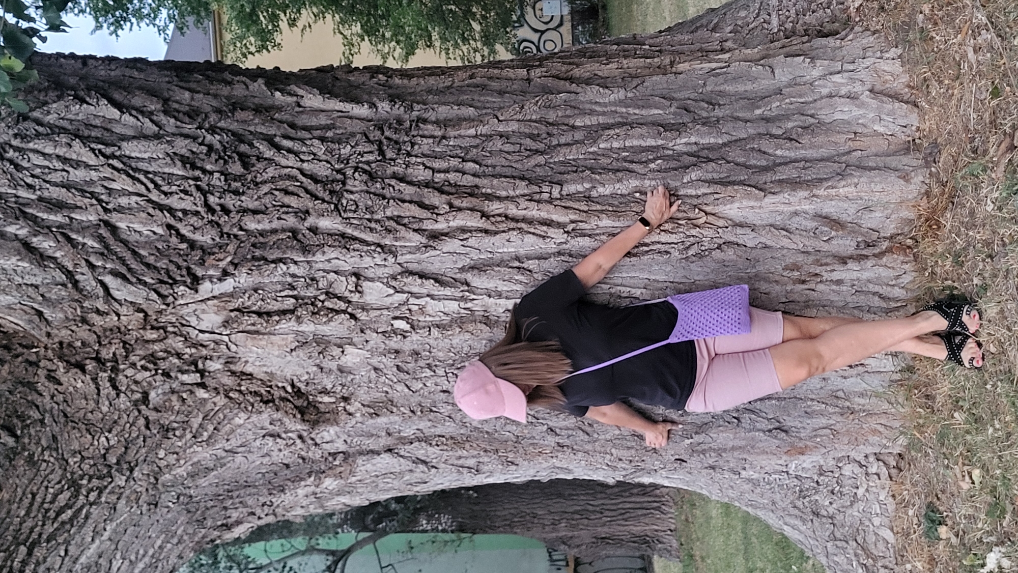 A woman wearing a pink baseball cap, black t-shirt, and pink shorts leans against a large tree trunk. She has a purple woven bag slung across her body and is wearing black embellished sandals. Her left hand rests on the tree trunk, and her right hand is slightly below her left. She is positioned to the right of center in the frame, looking down. The tree has rough, textured bark. In the background to the left, another large tree is visible, and further back, a building with a green facade can be seen. To the right of the main tree, a building with a yellow facade and trees are present. The ground is covered with dry grass and some scattered leaves. The image appears to be taken outdoors during the day. The location is the area around the large, old Linden trees on Floriánova Street in Prešov, Slovakia.