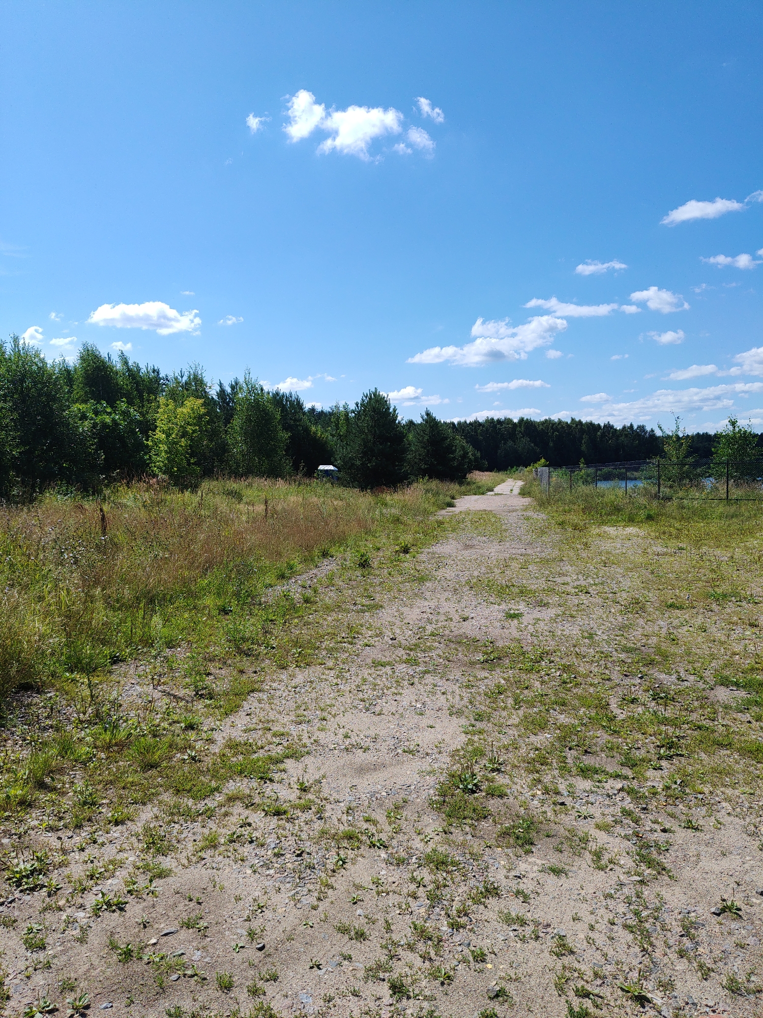 The image depicts a sandy path leading into a forest. The path is lined with grass and small plants. In the distance, there is a fence surrounding a body of water, likely a lake or pond, with trees on the other side. The sky is blue with scattered white clouds. The scene appears to be a natural setting, possibly a park or a recreational area in Sosnovyy Bor, Russia. There are no people or animals visible in the image.