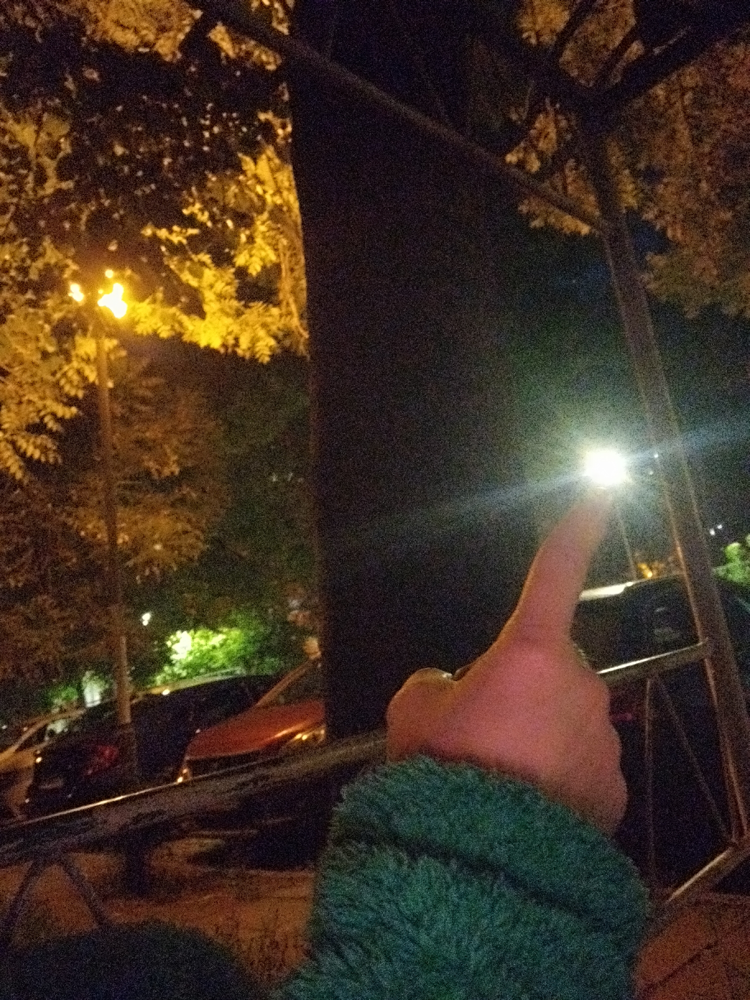 A nighttime scene in Sofia, Bulgaria, features a person's hand pointing up at a bright light source. The arm is covered in a green, fuzzy material. Behind the hand, there's a dark tree trunk and what seems to be a metal railing. In the background, there are street lights, foliage, and parked cars.
