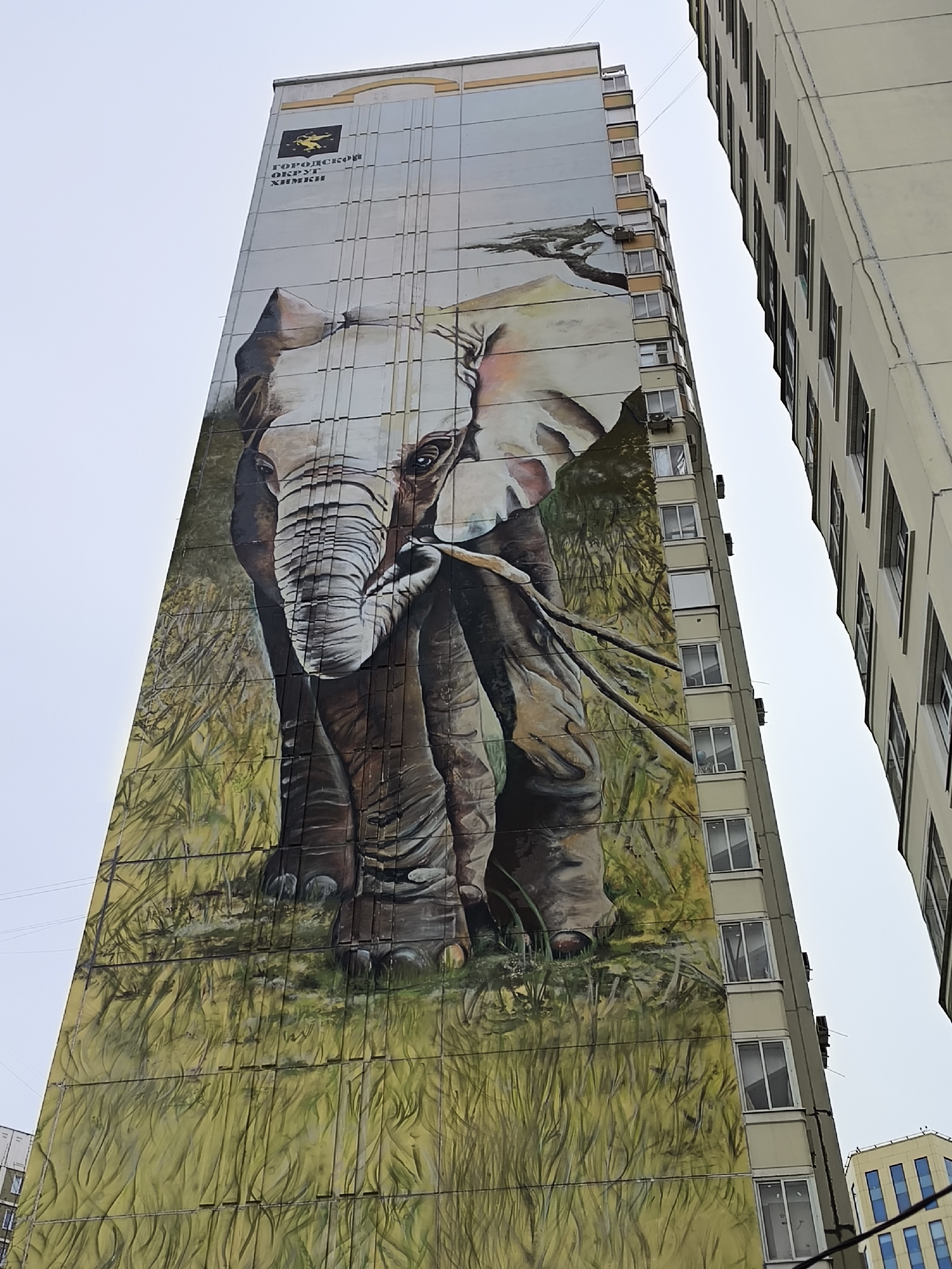A towering residential building in Khimki, Russia, is adorned with a colossal mural featuring a majestic elephant. The artwork covers almost the entire visible facade of the multi-story structure, depicting the large animal from a low, upward-looking perspective. The elephant is rendered in realistic detail, facing the viewer with its trunk slightly raised, and appears to be standing in a field of tall, golden-green grass. A faint outline of a tree, possibly an acacia, is visible in the upper right portion of the mural against a lighter sky background, suggesting a savanna landscape.
The building's exterior is characterized by numerous vertical panels, over which the mural is expertly painted, integrating the architectural lines into the artwork. To the right, another tall residential building with many windows rises, creating a narrow gap between the two structures. The sky above is overcast, indicating a cloudy daytime.
In the upper left corner of the mural, above the elephant's head, a black square logo featuring a golden, stylized winged creature is displayed. Below the logo, Cyrillic text reads "ГОРОДСКОЙ ОКРУГ" (City District) and "ХИМКИ," clearly identifying the location. The overall scene blends urban architecture with a striking natural theme.