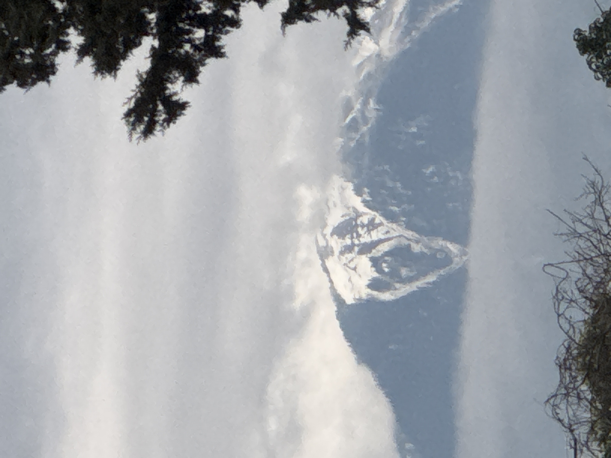 The image displays a serene mountainous landscape, oriented vertically with the main subject occupying the center and right side of the frame. A prominent snow-capped mountain peak is the focal point, its upper reaches covered in bright white snow that glistens under what appears to be bright daylight. The snow highlights the rugged contours and sharp ridges of the mountain, with darker rock faces visible in areas not covered by snow.
The sky above and surrounding the mountain presents a dynamic mix of elements. There are expansive areas of soft, wispy white clouds that partially obscure parts of the mountain, adding to the atmospheric depth. To the left of the mountain, a distinct, relatively clear band of pale blue sky runs vertically, contrasting with the cloud cover and mountain slopes. The overall lighting suggests a clear day with good visibility, despite the presence of clouds.
The scene is framed by natural elements. In the upper left corner, dark, dense evergreen tree foliage extends into the frame, creating an organic border. On the right side, extending from the middle towards the bottom, fine, bare tree branches with intricate twig patterns are visible, adding another layer of natural framing to the majestic mountain view. No text is visible in the image.