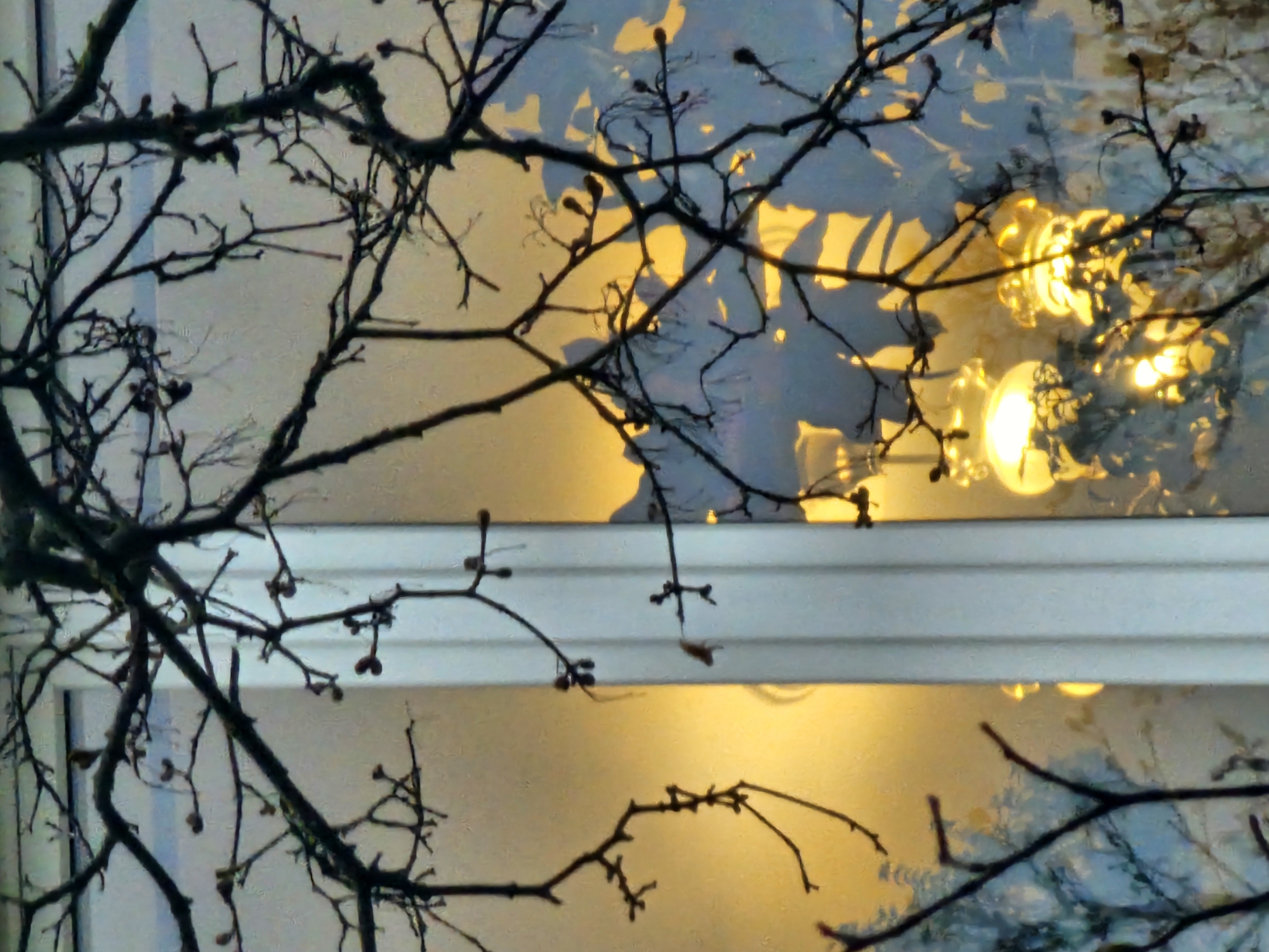 The image depicts bare tree branches silhouetted against a window. A white window frame is visible. Inside, a blurred reflection of a chandelier or a light fixture is seen. The image was taken in Khimki, Russia. There are no people visible. The subject is primarily the tree branches and the reflections inside.