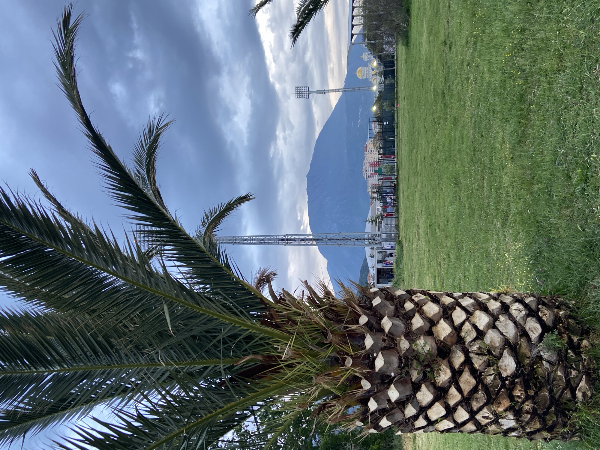 The image captures a scenic view featuring a prominent palm tree in the foreground, a vast grassy field, and mountains under a cloudy sky.
In the foreground, a large palm tree occupies the right side of the frame. Its thick, textured trunk displays distinct diamond-shaped patterns from old frond bases. Lush green palm fronds extend upwards and towards the left, some silhouetted against the sky.
The midground features an expansive, green grassy field that stretches across the left and center of the image. The grass appears somewhat wild, with small yellow flowers scattered within. Beyond the field, a fence or barrier separates the open space from distant structures. A tall floodlight tower, typical of a sports complex or stadium, stands prominently.
The background is dominated by imposing, dark blue mountains that rise under a heavily overcast sky. Despite the clouds, patches of lighter sky are visible, suggesting it might be late afternoon or early evening. At the base of the mountains, a cluster of buildings is discernible, including a distinctive structure with multiple golden domes, possibly a church or mosque, illuminated faintly. Another, smaller floodlight tower is visible in the distance near these buildings.
No specific activity is taking place; the field appears empty. The overall atmosphere is serene, with the dramatic mountains contrasting with the lush green field and the tropical palm tree. No visible text is present. The setting combines natural elements with man-made structures, indicative of a coastal town like Bar, Montenegro.
