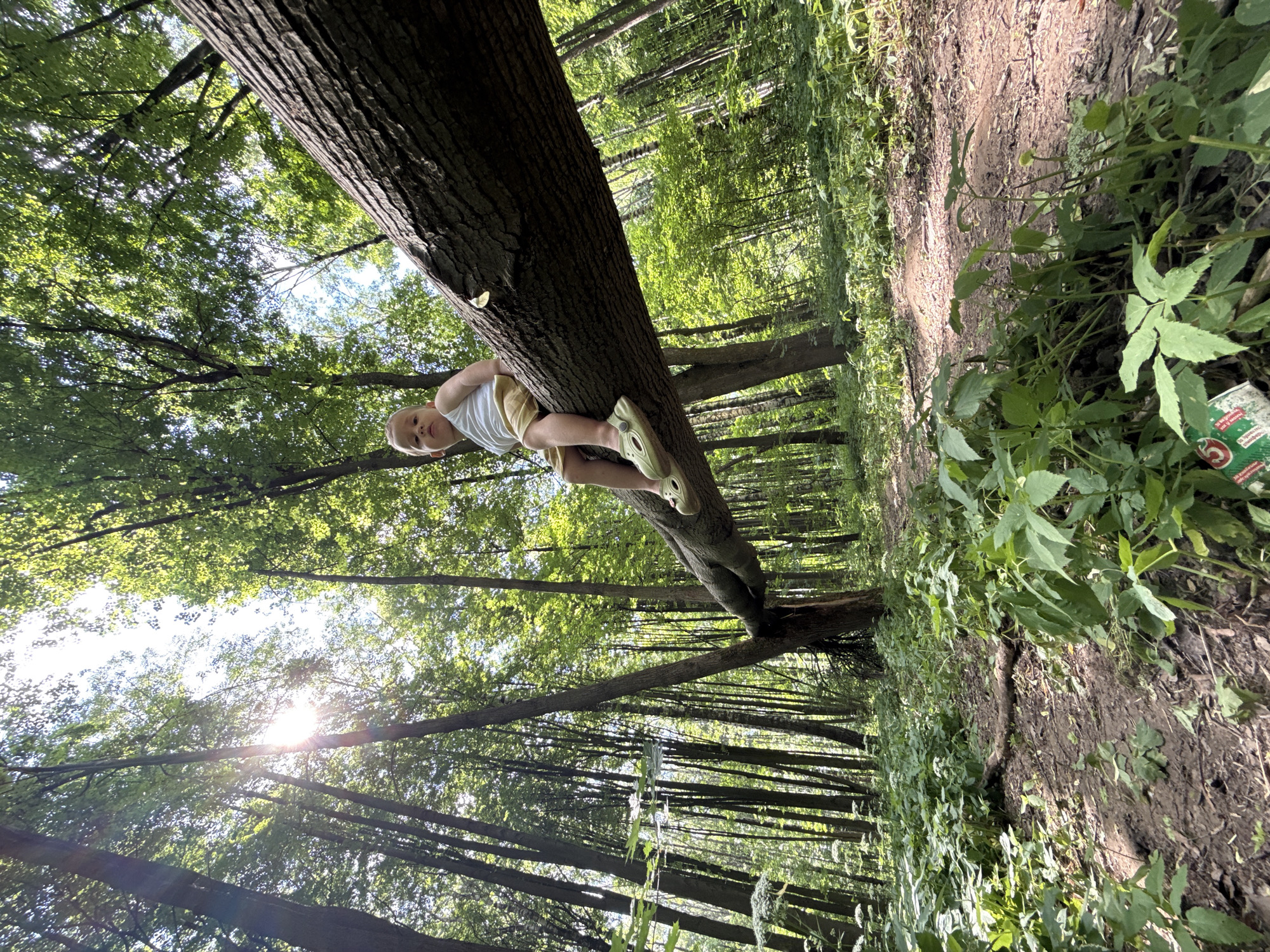 A low-angle, wide-shot photograph captures a young boy seated on a fallen tree in a sun-dappled forest in Rusanovo, Russia. The boy, wearing a white tank top and yellow shorts with a striped pattern, sits facing the camera with a neutral expression. His feet, clad in light-colored clogs, rest on the rough bark of the substantial log. The tree trunk extends horizontally across the frame, with its textured surface and visible bark dominating the foreground.
The background is a dense forest composed of tall, slender trees with a canopy of green leaves. Sunlight filters through the foliage, creating bright, diffused illumination and lens flares in the upper left quadrant of the image. The forest floor is covered with lush green undergrowth and appears to be a dirt path. The overall impression is one of a natural, outdoor setting during daytime.