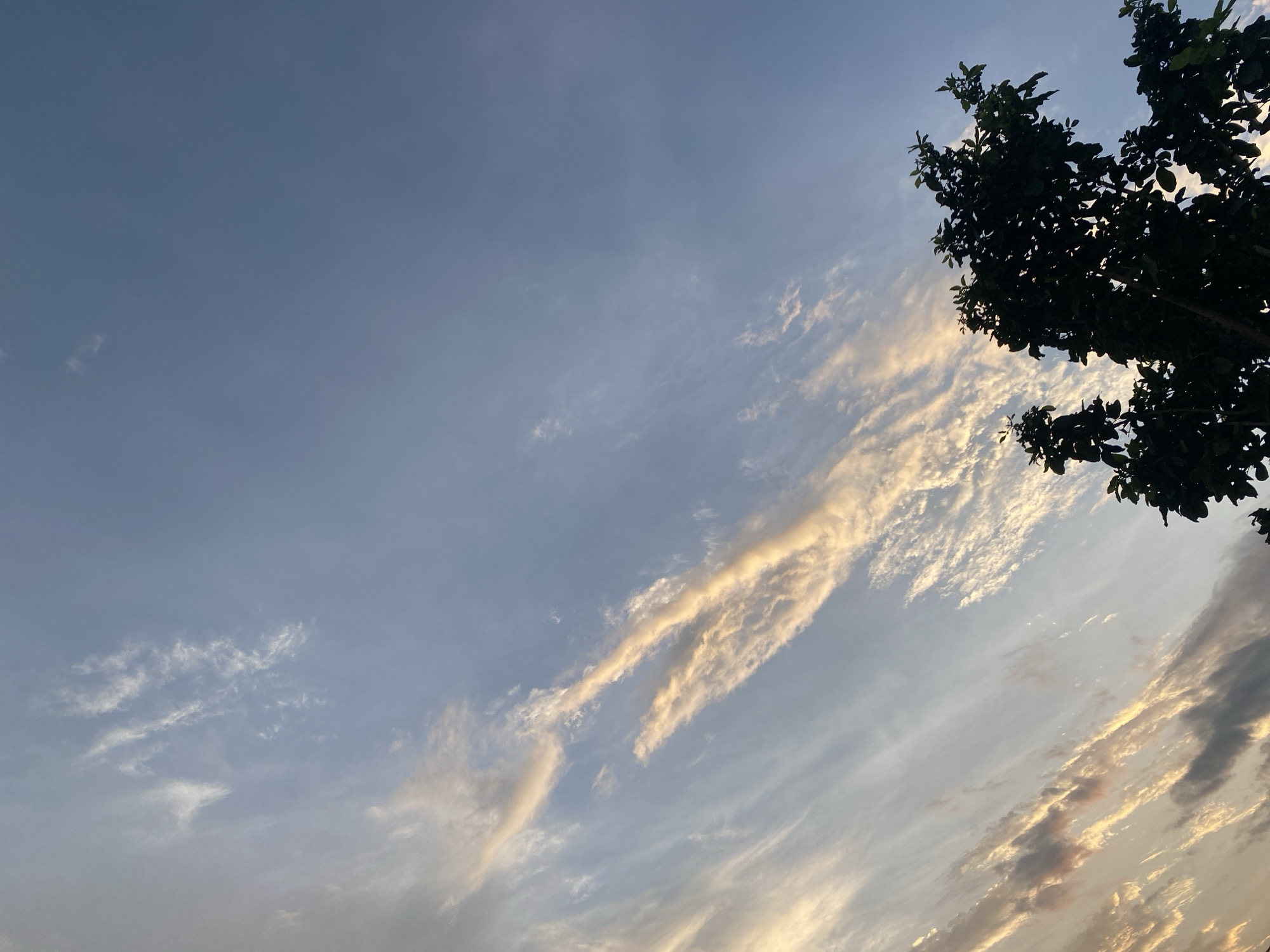 The image shows a sky with scattered clouds in various shades of white and gold, suggesting it is either sunrise or sunset. A silhouette of dark green foliage from a tree branches in from the top right corner, casting a shadow that is not visible in the frame. The sky is a gradient of light blue at the top to a softer, warmer tone towards the bottom. The overall scene is serene and atmospheric. The location is the city of Igbarra, Nigeria.