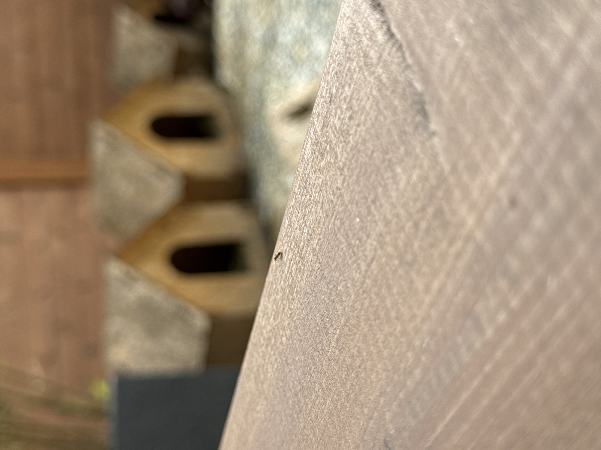 The image is a close-up shot of a piece of wood with an ant crawling on it. In the blurred background, there are several light-colored, hollow objects stacked on top of each other. The environment appears to be indoors. There is no information to determine the image was taken in Sochi, Russia.