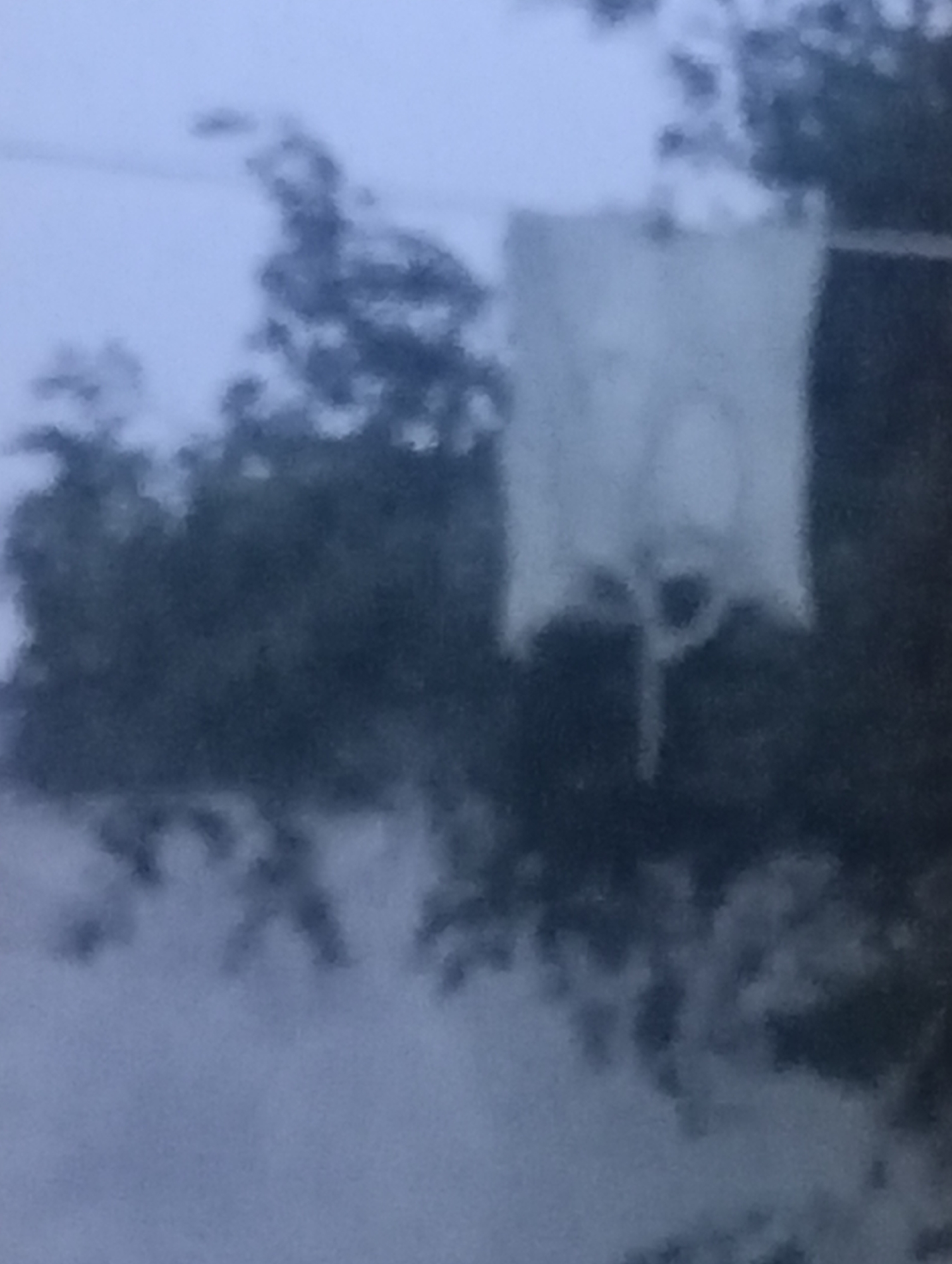 The image depicts an outdoor scene, possibly in Mansehra, Pakistan, with a focus on a basketball hoop and net hanging in the foreground. The hoop is white and appears to be made of metal, with a white net attached. The net is somewhat tattered, suggesting it might be old or frequently used. Behind the basketball hoop, dark green foliage of trees is visible, creating a blurred backdrop. The sky appears overcast or hazy, contributing to the overall muted color palette of the image. The lighting is dim, suggesting it might be dawn, dusk, or a cloudy day. There are no people visible in the frame, and the scene is static. The overall impression is one of a basketball court or a recreational area surrounded by natural elements.