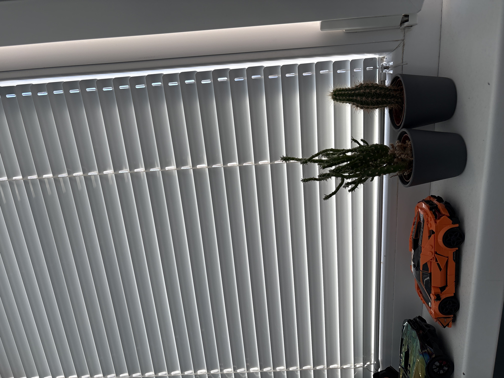 The image displays a brightly lit indoor windowsill next to a window with vertical blinds, situated in Sofia, Bulgaria. On the left, a large window is covered by light-colored vertical blinds, which are angled to allow natural daylight to stream into the room. This creates a distinct pattern of alternating light and shadow stripes across the blinds and the white windowsill.
On the right side of the windowsill, two potted cacti and two toy cars are arranged. Closer to the window, a taller, slender cactus with prominent spines stands in a dark gray cylindrical pot. Beside it, a shorter, more branched cactus with smaller spines is also housed in an identical gray pot. Further along the windowsill, a detailed, bright orange toy sports car, resembling a Lamborghini, is prominently displayed. A portion of a second, darker-colored toy car is visible behind the orange one.
The scene is illuminated by strong natural light, indicating it is daytime. No people are visible, and no specific activity is taking place; the image captures a static arrangement of objects. There is no visible text.