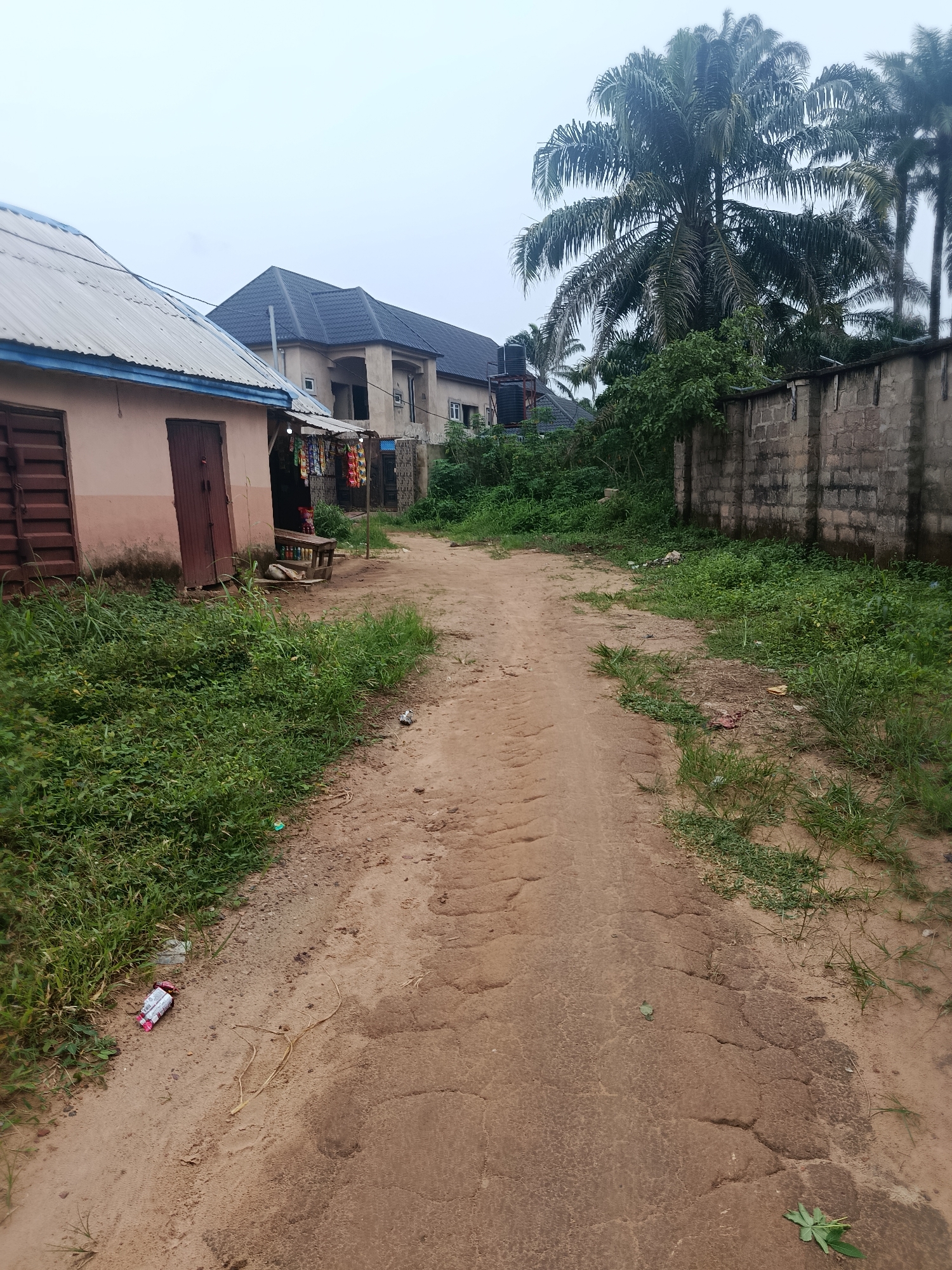 The image depicts a dirt road in a village setting, likely in Ukpor, Nigeria. The road is unpaved and shows signs of wear and tear, with visible cracks and uneven surfaces. On the left side of the road, there is a small, single-story building with a metal roof and brown wooden doors. It appears to be a small shop or kiosk, with items displayed for sale under a small awning. The building is painted a light pinkish-beige color. Next to it, on the left, is a large metal structure that might be a gate or a storage unit.
Across the road and further down, a larger, modern two-story building with a dark tiled roof is visible. Adjacent to this building, there are water tanks. In the background, there are tall palm trees and other lush greenery, suggesting a tropical or subtropical climate. A concrete wall runs along the right side of the road, partially covered by vegetation. The sky is overcast, indicating a cloudy day, possibly with rain imminent. There is no visible activity or people in the scene, giving it a quiet, almost deserted feel. The overall impression is one of a rural or semi-urban area experiencing modest development, with older structures existing alongside newer constructions. Scattered litter, including a plastic bottle and wrappers, is visible on the side of the road and the grassy verges.