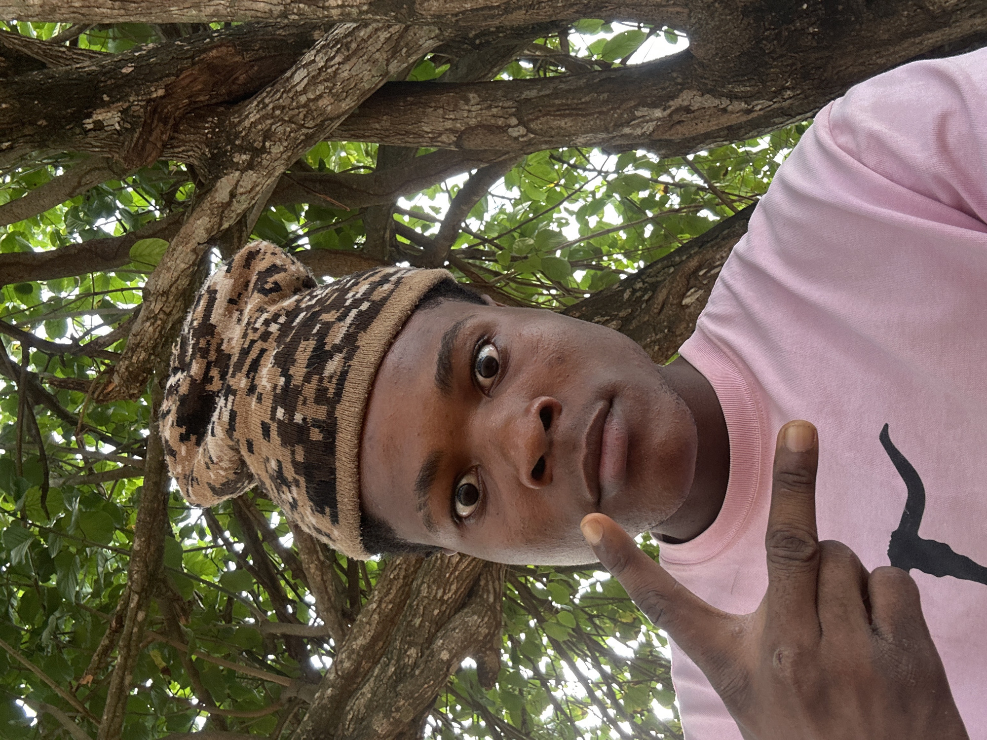 In Ihiagwa, Nigeria, a young Black male is captured in a close-up selfie. He is wearing a light pink t-shirt with a black graphic design of what appears to be an animal silhouette on the lower left side. On his head, he sports a knitted beanie with a brown and tan geometric pattern. His eyes are wide and looking directly at the camera, and his right hand is raised, with his index and middle fingers extended in a gesture that resembles the letter "L". He is positioned in front of a large tree with visible branches and green foliage, suggesting an outdoor setting. The lighting indicates it is daytime, possibly overcast, as the light is diffused and there are no harsh shadows.