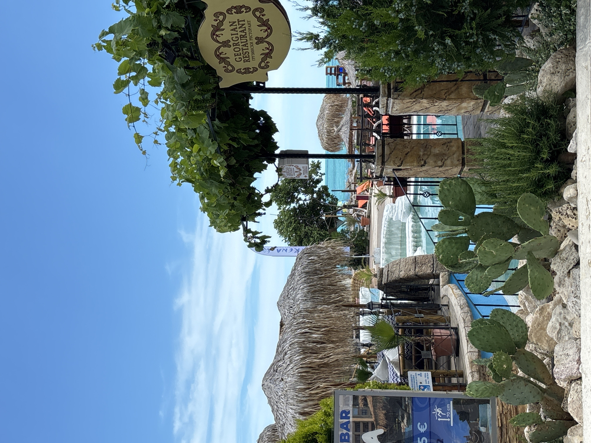 The image depicts an outdoor seating area of a Georgian restaurant located on the coast of Varna, Bulgaria. In the foreground, prickly pear cacti and rosemary bushes are planted among rocks. Behind them, a seating area with thatched umbrellas and tables with cushioned chairs is visible. A blue swimming pool with white tiled edges is to the right of the seating area. In the background, beach chairs and umbrellas are set up on the sand, leading to the turquoise sea. The sky is clear blue with a few white clouds. A sign for "Georgian Restaurant" is prominently displayed above the seating area. A beach flag can be seen in the distance.