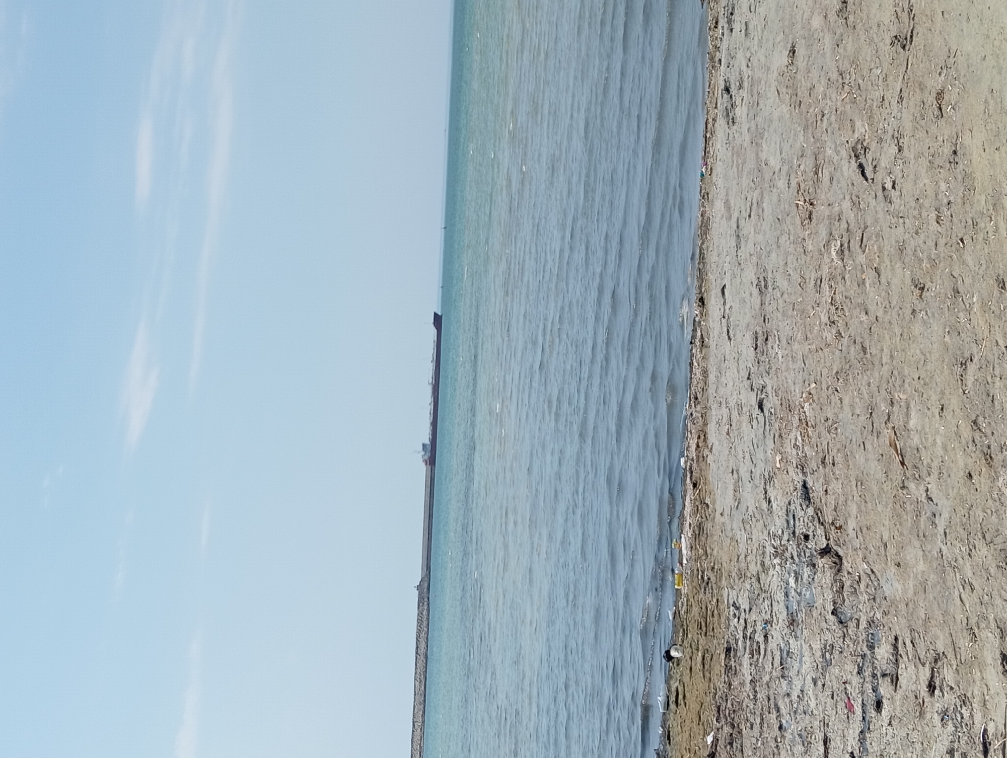 An image shows a beach in Ömirzaq, Kazakhstan, with a body of water, sand, and a cargo ship on the horizon. The sand is a light brown and covered with debris such as plastic bottles and scattered plant matter. The water is a light blue and choppy, with small waves. In the distance, a long, stone breakwater stretches across the water, and a cargo ship is visible beyond it. The sky is clear and pale blue, with a few wispy clouds.