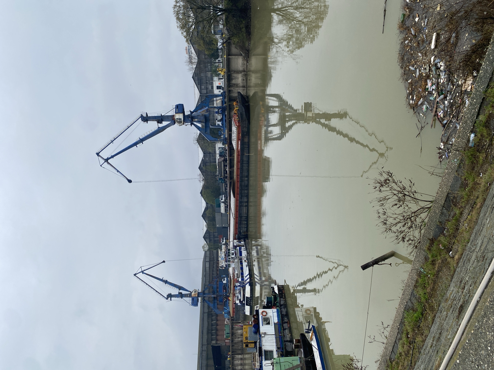 The image depicts a view of the Sava River waterfront in Belgrade, Serbia. Two large blue and white industrial cranes dominate the left side of the frame, positioned along a concrete quay where several boats are docked. A barge is visible further up the river, adjacent to a building complex. The river is murky and reflects the cranes and surrounding structures. The opposite bank shows signs of overgrowth and litter along the water's edge. The sky is overcast, suggesting a grey, potentially rainy day.