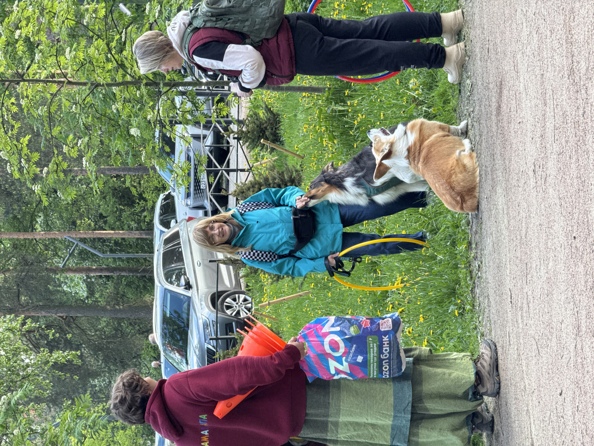The image captures an outdoor scene in an unspecified location, likely a park or open space in the city of Unknown, Russia. Three individuals are present, alongside two dogs.
The person closest to the viewer is wearing a maroon hoodie with lettering, an olive green dress, and hiking boots. They are holding a blue shopping bag with the "OZON банк" logo and an orange traffic cone.
In the middle of the frame, a woman is wearing a blue jacket with a checkered collar, jeans, and glasses. She is holding a yellow hoop and interacts with the two dogs.
The dogs include a collie and a corgi, both standing on the grassy area.
Furthest from the viewer, an individual is wearing a backpack and black pants, standing partially out of frame.
The background reveals a silver SUV with a visible license plate reading "C231YHA" and a blurred natural setting with trees and flowers. A section of a sidewalk is visible on the right side of the frame.