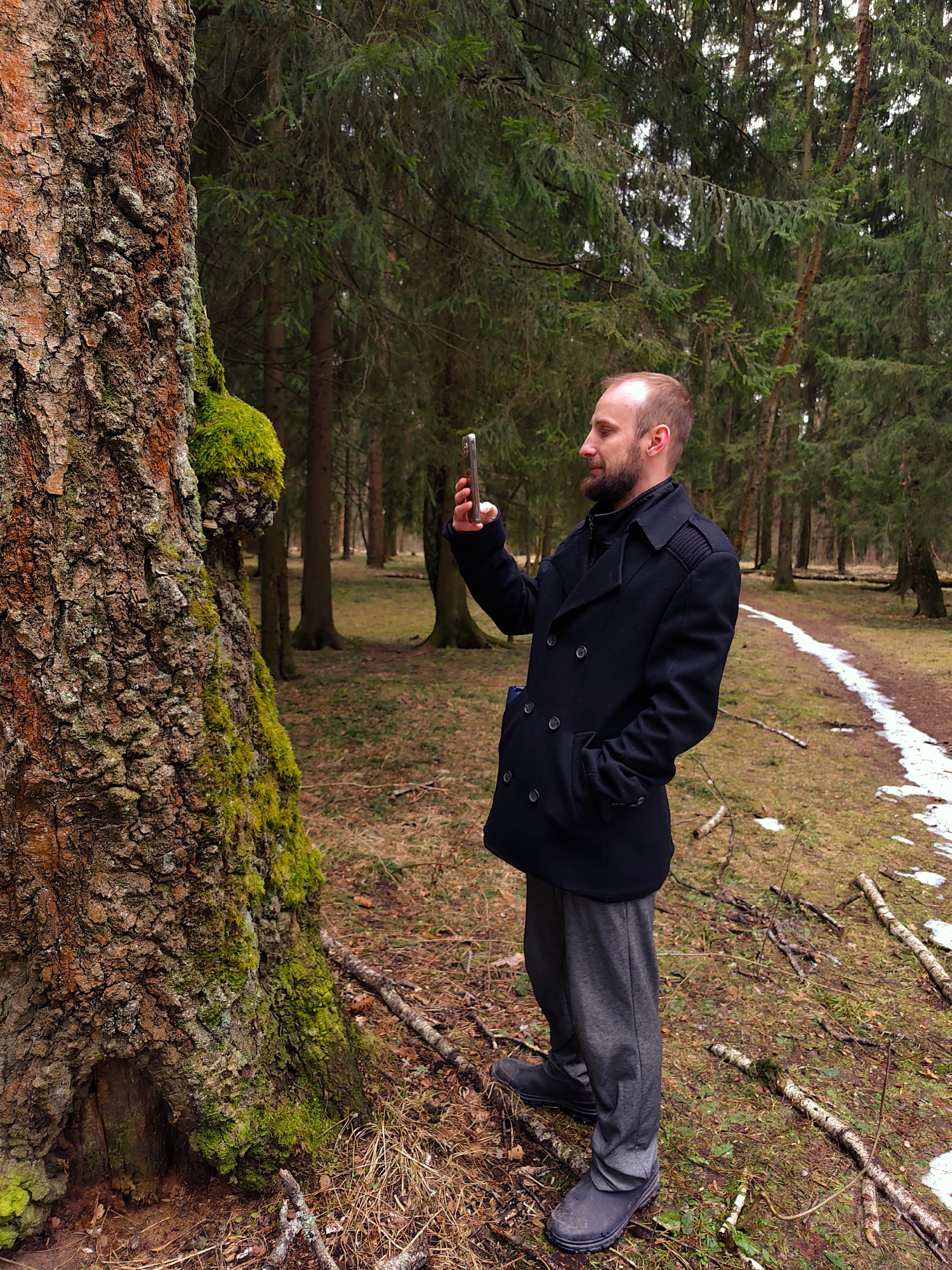 The image shows a man standing in a forest, possibly in Kratovo, Russia. He is wearing a black coat, dark pants, and dark shoes. He holds a smartphone up with his right hand, as if taking a photo of a large tree covered in moss. The tree is in the foreground on the left side of the image. Behind the man, the forest continues with many other trees visible, and a path with patches of snow can be seen. The ground is covered in dry grass and fallen branches.