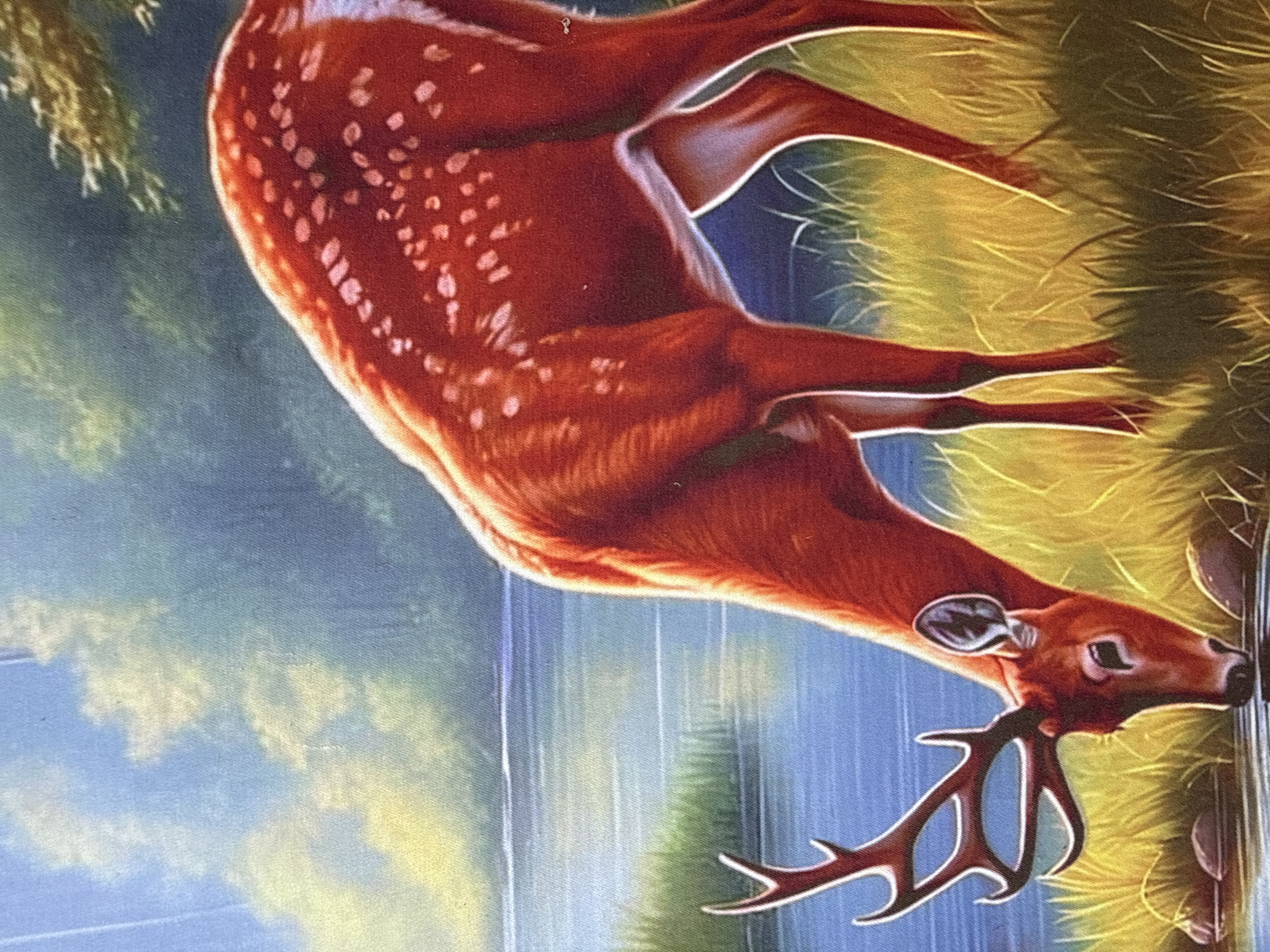 The image is a painting of a red deer with white spots drinking water from a stream. The deer has large antlers and is in a grassy area next to the water. The background shows a forest with a blue sky. There are no people or any indication of the city of Tbilisi, Georgia.