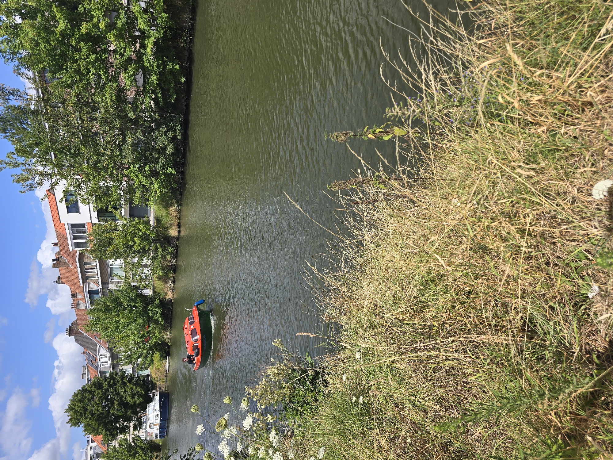 The image depicts a sunny day on a canal in Ghent, Belgium. In the foreground, tall, dry grass lines the bank. The canal water is a murky green, with gentle ripples. A small, bright orange and green motorboat is navigating the canal, with a person at the helm. In the background, a row of residential buildings with terracotta roofs and modern white facades are visible, interspersed with lush green trees. To the left, a larger blue and white boat is docked. The sky is a vibrant blue with scattered white clouds.