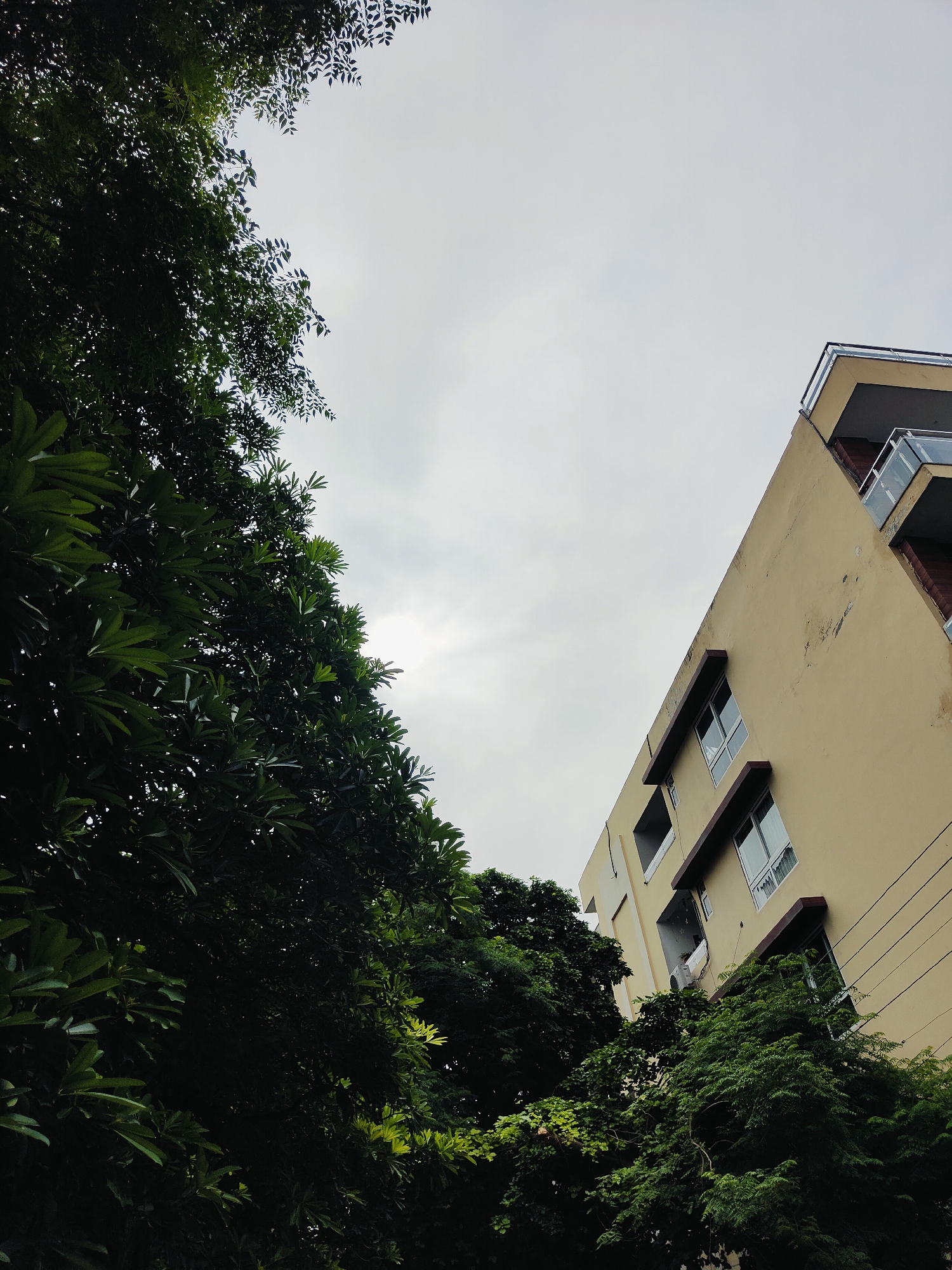A low-angle, full shot captures the upper portions of lush green trees framing the right and left sides of the image, with a beige, modern apartment building angled upwards on the right. The sky, overcast and grey, occupies the majority of the background. The apartment building features multiple windows, some with dark-colored frames, and balconies with glass railings. The trees are dense with dark green leaves, some lighter green foliage visible in places. The scene appears to be in a residential area of Gurgaon, India, based on the architecture and vegetation. No people are visible in the image.