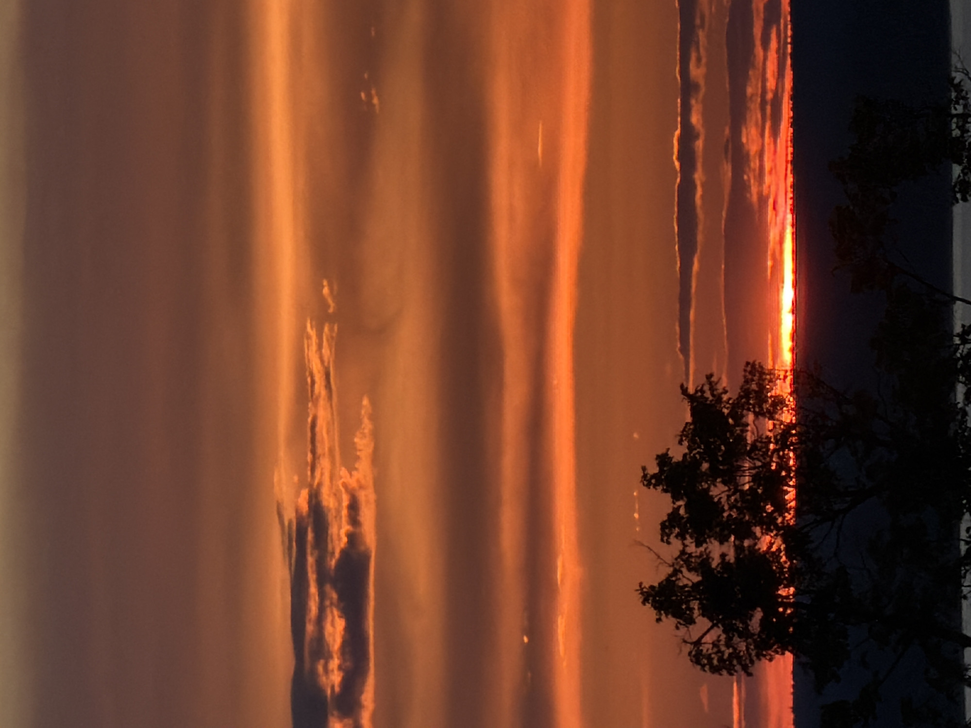 The image depicts a sunset, likely over a body of water. Predominantly orange and red hues dominate the sky, with vertical bands of varying intensity creating a textured appearance. Dark silhouettes of trees are visible on the right side of the frame, their branches reaching into the sky. The scene is possibly in Izhevsk, Russia.