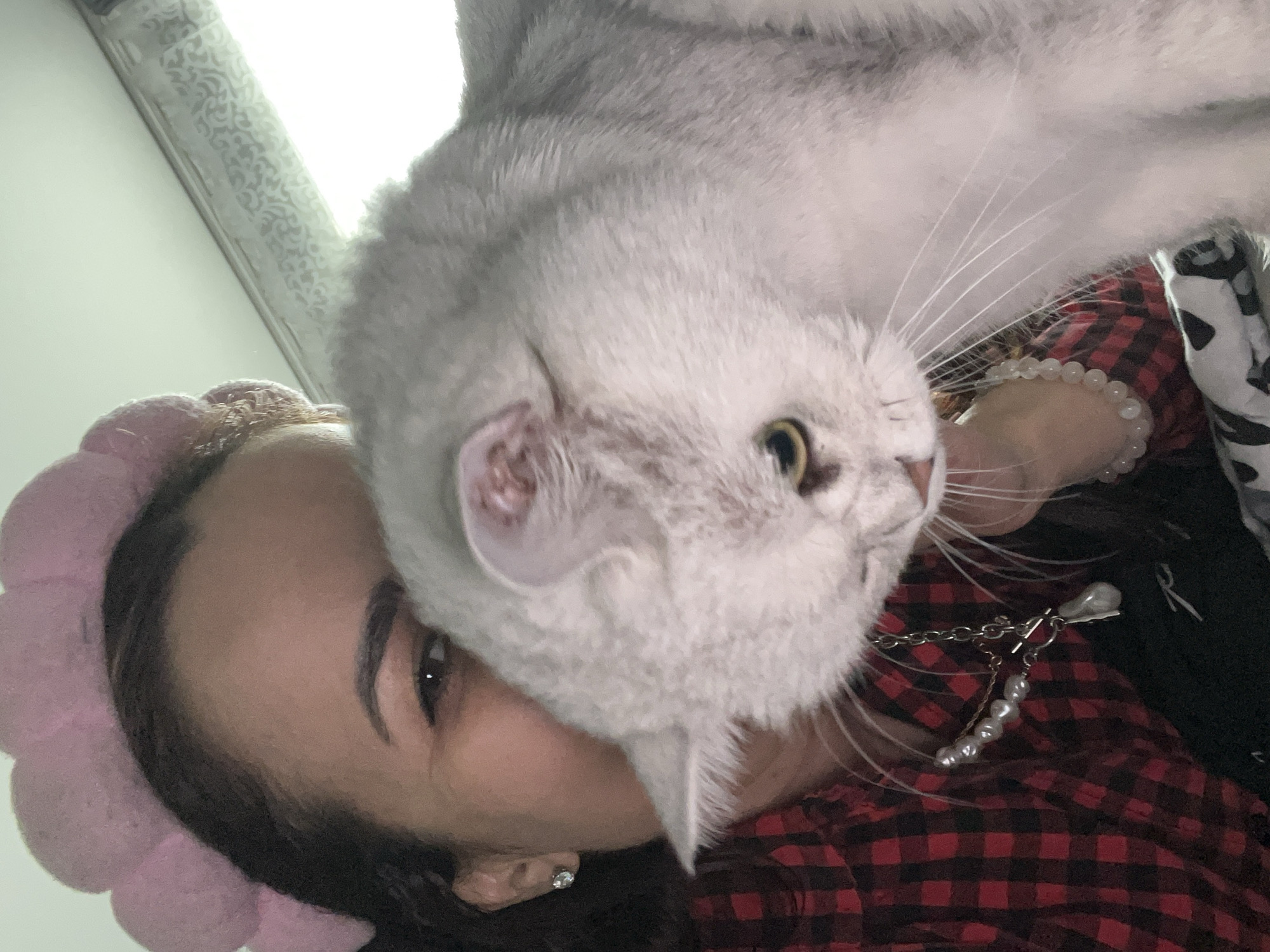 A light-skinned person with dark hair wearing a pink headband is being nuzzled by a light gray cat with yellow eyes. The person is wearing a red and black plaid shirt and a pearl bracelet and necklace. The location is Unknown, Unknown.