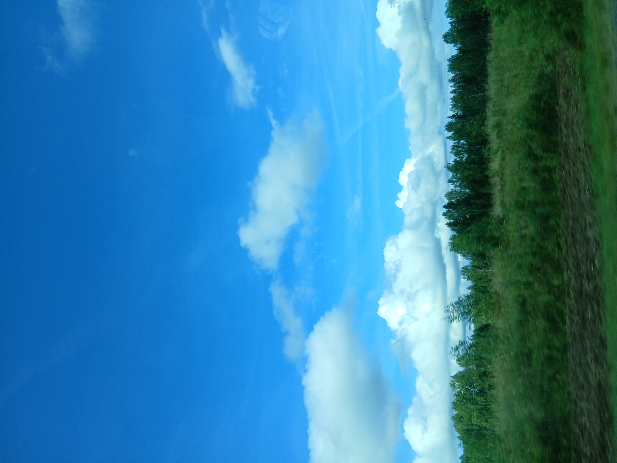 The image depicts a landscape scene under a bright blue sky with scattered white clouds. In the foreground, a blurred green field with darker patches suggests movement, likely from a vehicle. A dense line of various green trees forms the middle ground, with some trees appearing taller and more prominent than others. The background is dominated by the expansive blue sky, punctuated by fluffy white clouds. There are no people or man-made structures visible in the image. The scene is set in a natural environment, possibly on the outskirts of the city of Kryukovo, Russia.