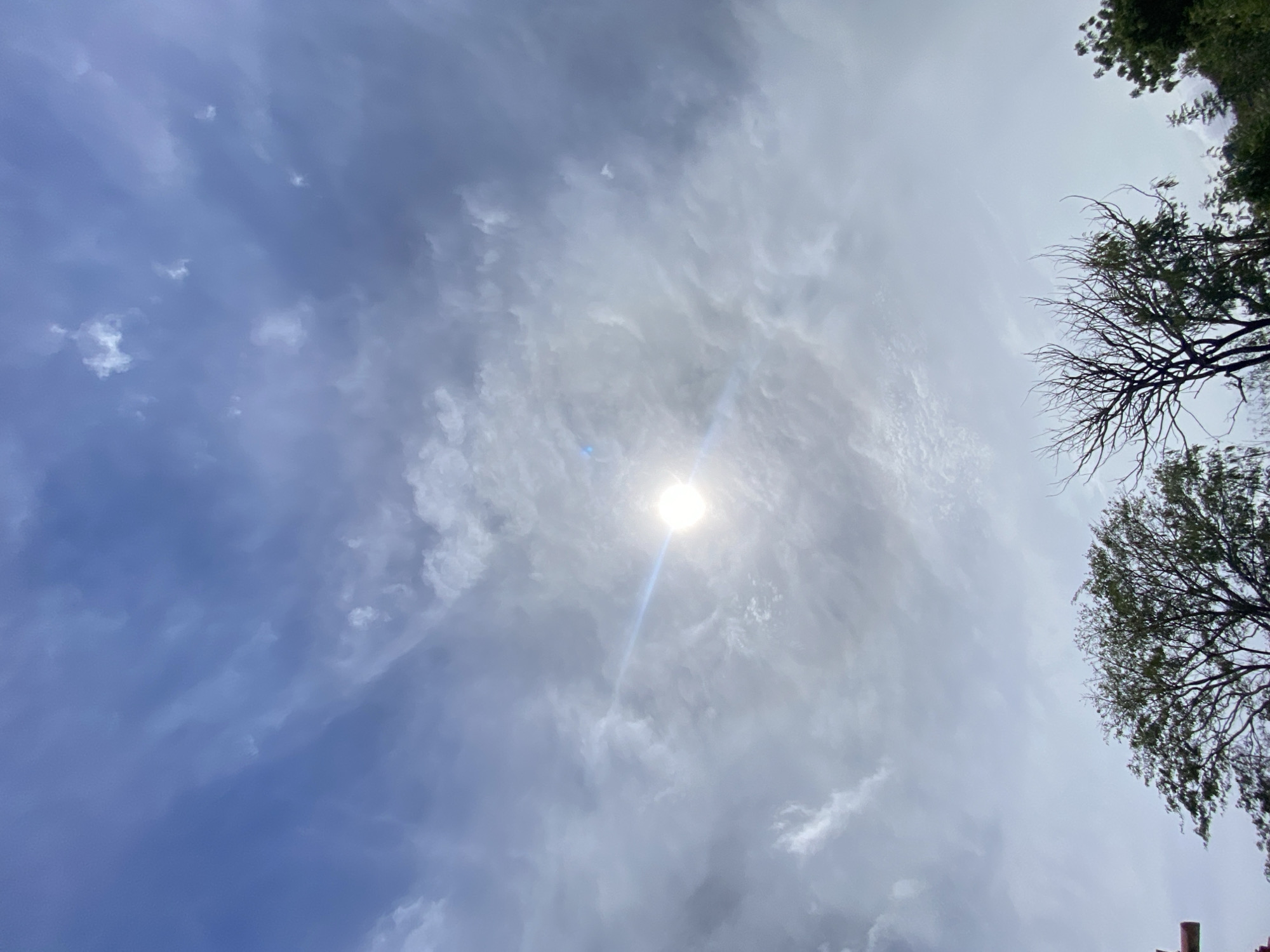 Looking upwards, the scene captures a bright sun partially obscured by thin, grey clouds. The sky transitions from a deep blue in the lower left corner to a lighter, greyish tone toward the top. Trees with green foliage are visible in the upper right corner, suggesting the presence of vegetation. It is not possible to pinpoint the precise location in Juan Griego, Venezuela from this image alone.