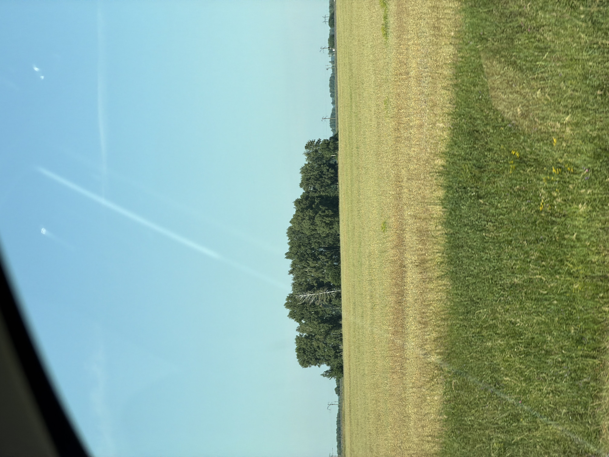 The image depicts a rural landscape in Bezmenovo, Russia, dominated by a vast field of golden-yellow crops. In the middle ground, a dense cluster of green trees forms a striking contrast against the harvested field. Beyond the trees, a faint line of distant trees and structures, possibly power lines, can be seen against the horizon. The sky above is a clear, pale blue, with subtle white streaks that could be contrails or wisps of clouds. The foreground is a blur of tall green grass, suggesting movement or a close-up perspective from a vehicle. The overall impression is one of a serene, open countryside on a bright, sunny day.