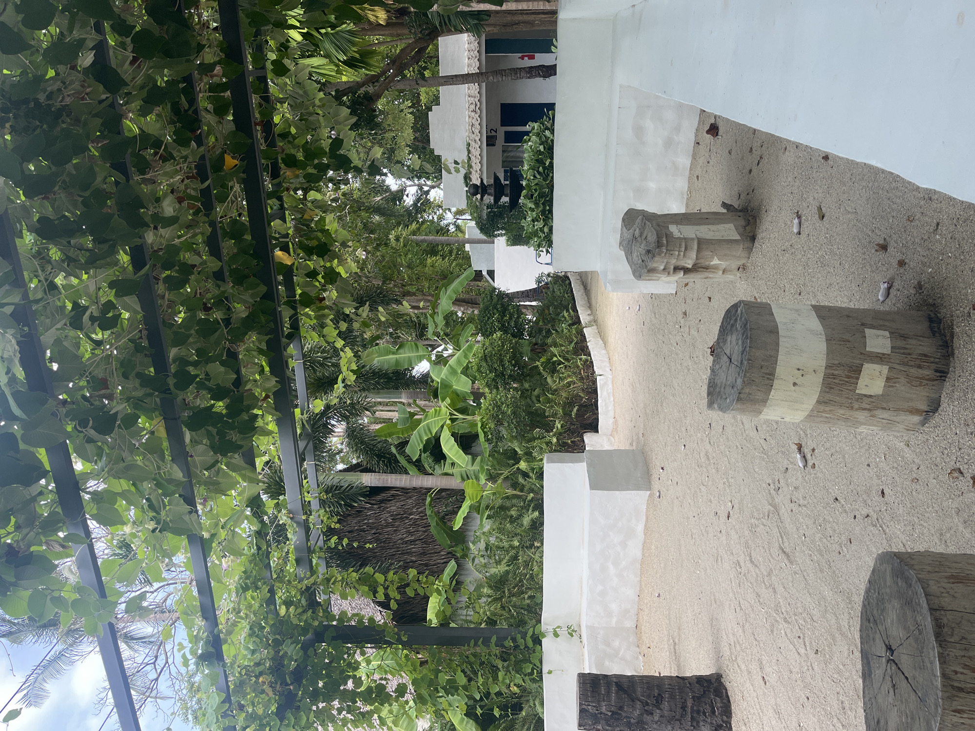 The image depicts an outdoor seating area with a sandy ground and white, low walls. Several thick, wooden tree stumps are scattered throughout the area, serving as seating or decorative elements. A pergola covered in lush green vines provides shade overhead. In the background, tropical vegetation, including banana trees and palms, is visible, along with a thatched-roof building and several white modern structures with blue doors. One of these structures has a number "2" above the door and a small fountain in front of it. The overall scene suggests a tranquil, tropical setting, likely a resort or a similar establishment in a warm climate. The location is identified as being in the Ko Pha-ngan District, Thailand. There are no people or animals visible in the image.