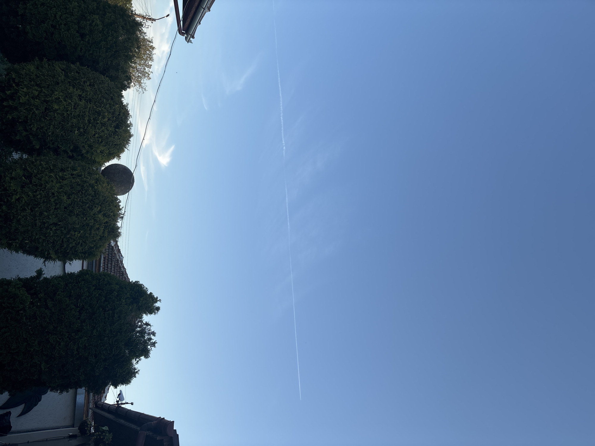 The image shows a clear, blue sky above the city of Lom, Bulgaria. A contrail stretches across the sky. Along the left side of the frame, there are several globe-shaped bushes and glimpses of rooftops of houses. There is a stone ball shape between the bushes. Power lines are visible between the bushes and rooftops.