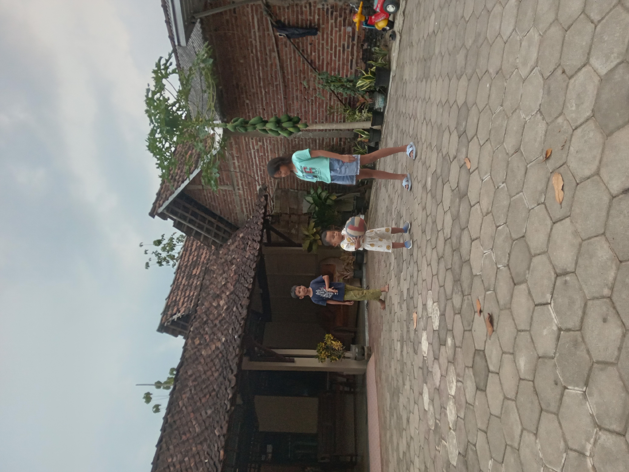 In Kedunggudel, Indonesia, three children are playing in the courtyard of a home on a cloudy day. A young boy in the foreground holds a basketball and wears a white t-shirt with a patterned design and white shorts. To his left, a slightly older boy stands in a dark blue t-shirt and green pants. To the right, a teenage girl stands in a light blue t-shirt and denim shorts, looking towards the younger boy. Behind them, a house with a tiled roof and brick walls is visible. A papaya tree with many green fruits hangs heavy with its bounty in front of the house. Various potted plants surround the courtyard, and a small red and yellow toy scooter is parked to the right of the house. The courtyard is paved with interlocking hexagonal stones.
