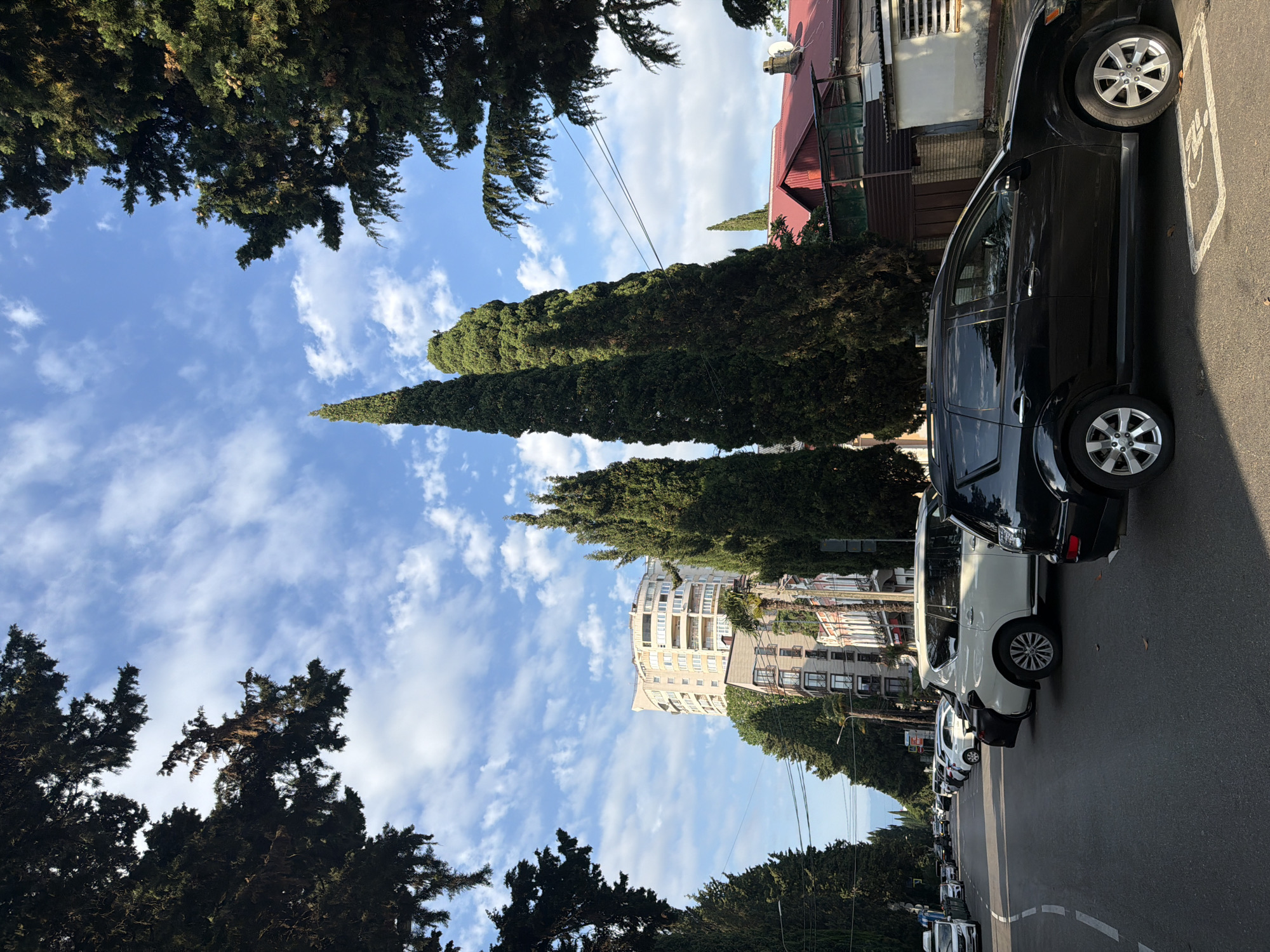 The image captures a street scene in Sochi, Russia, characterized by a row of tall, slender cypress trees lining the road. The sky is a vibrant blue, dotted with scattered white clouds. Several vehicles are parked along the side of the asphalt road, including a white SUV and a black SUV in the foreground. Beyond the trees, a light-colored, multi-story building with rounded balconies is visible, as are other buildings with red roofs. The environment suggests a sunny day in a well-developed urban area with abundant greenery.
